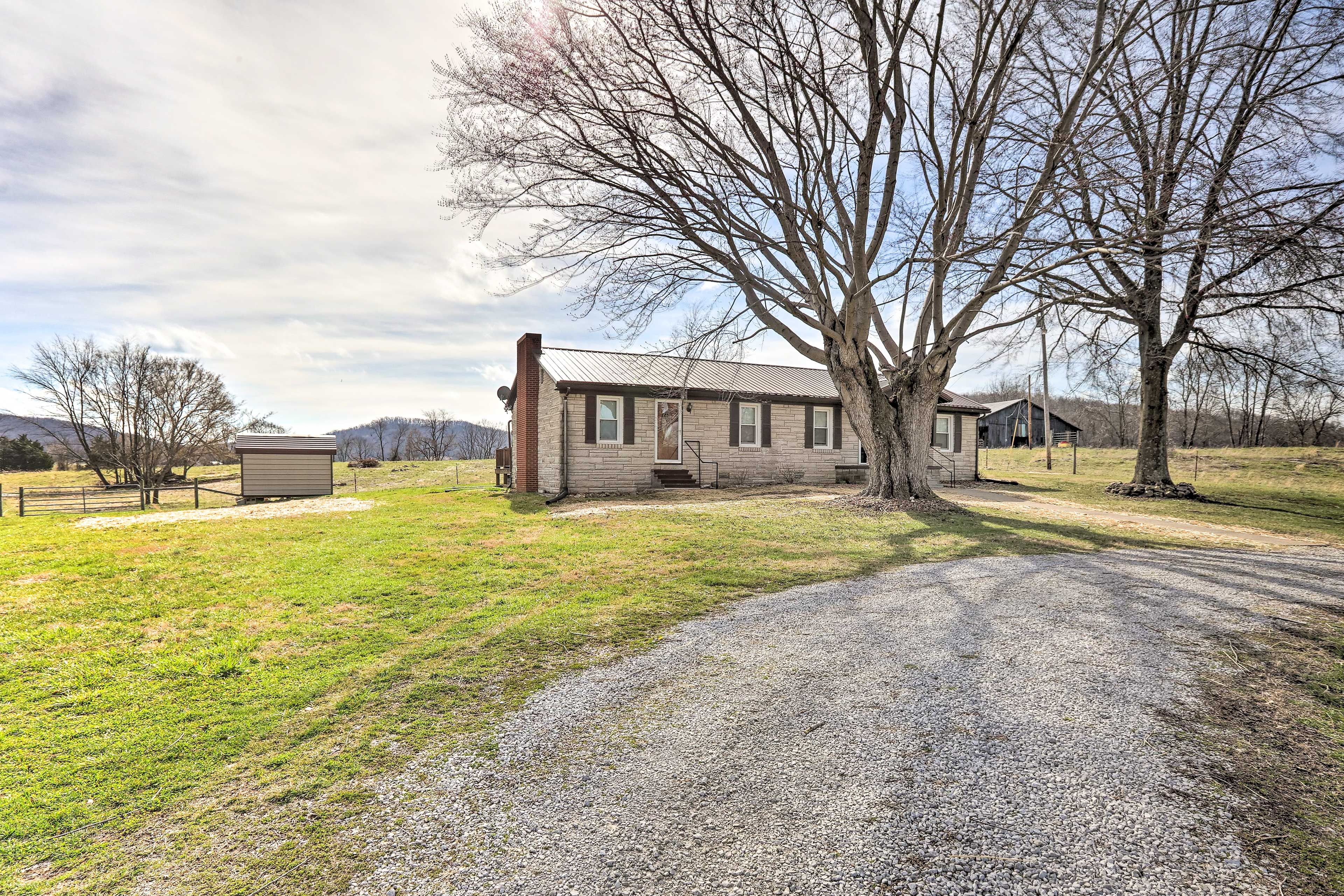 Parking | Driveway (4 Vehicles) | RV/Trailer & Boat Parking Allowed On-Site