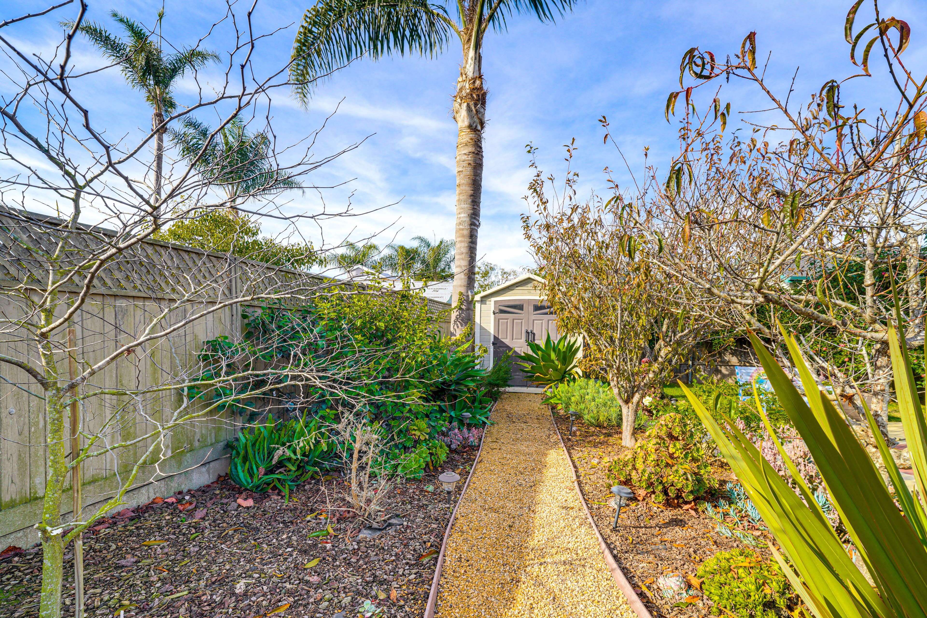 Backyard