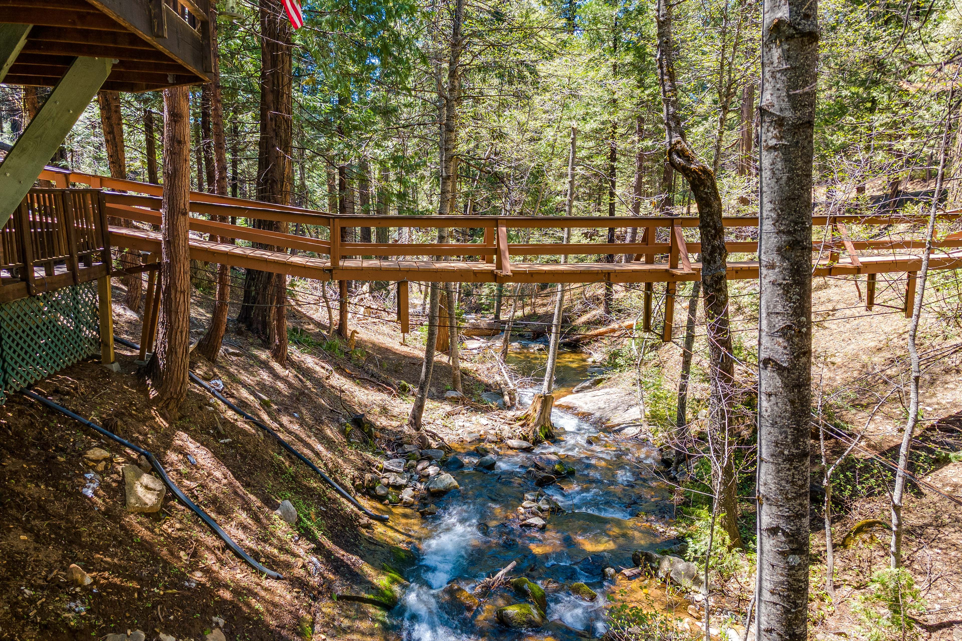 Suspension Bridge | On-Site Creek