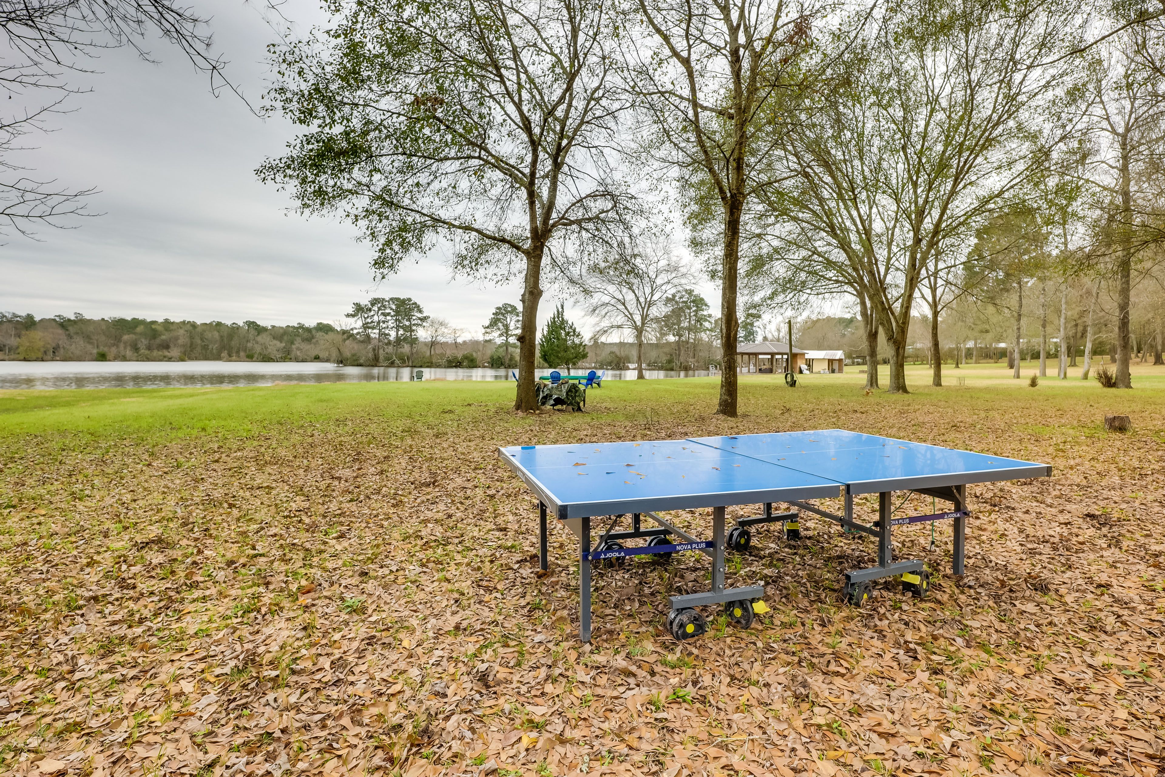 Ping Pong Table