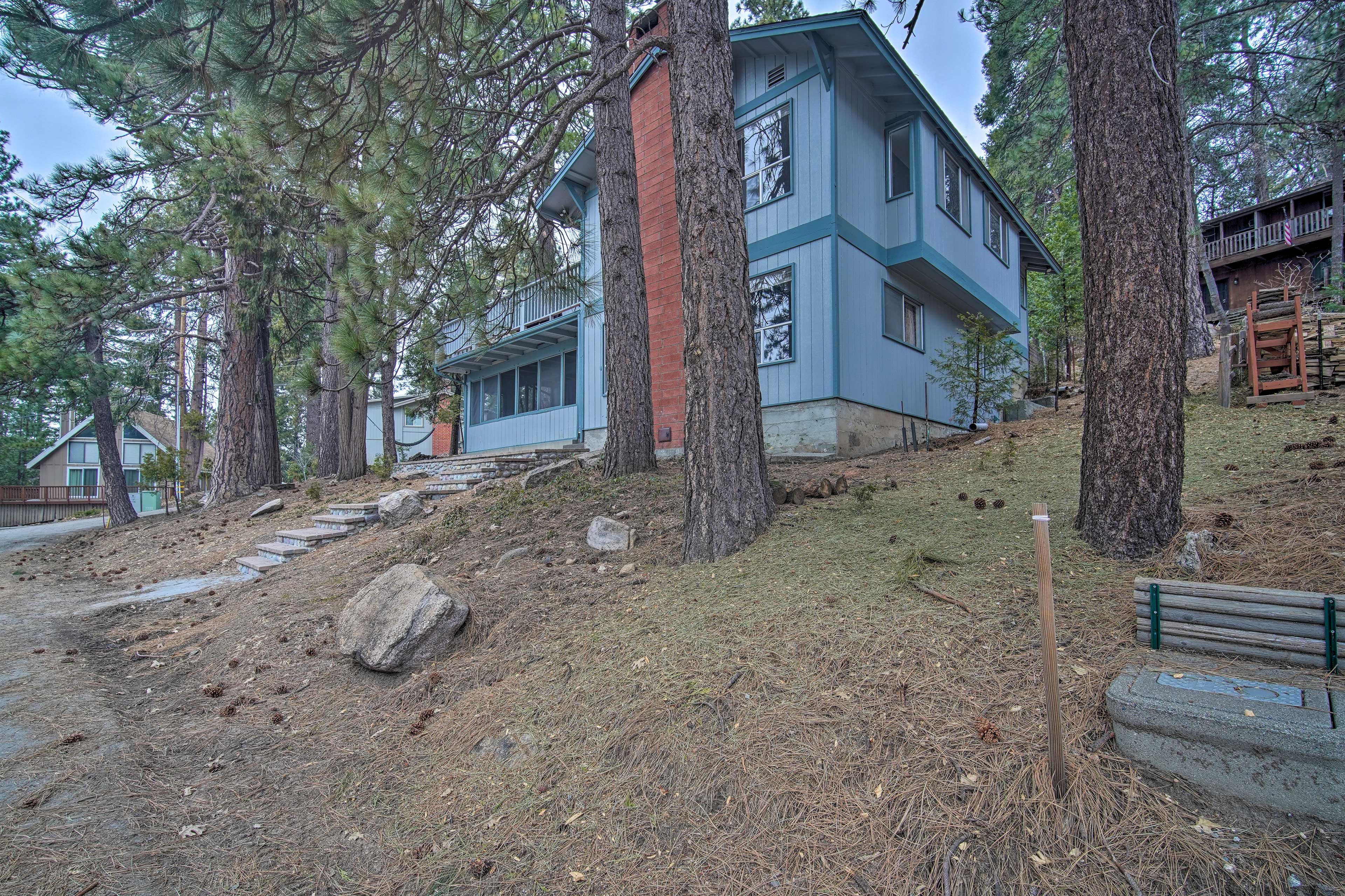 Image 34