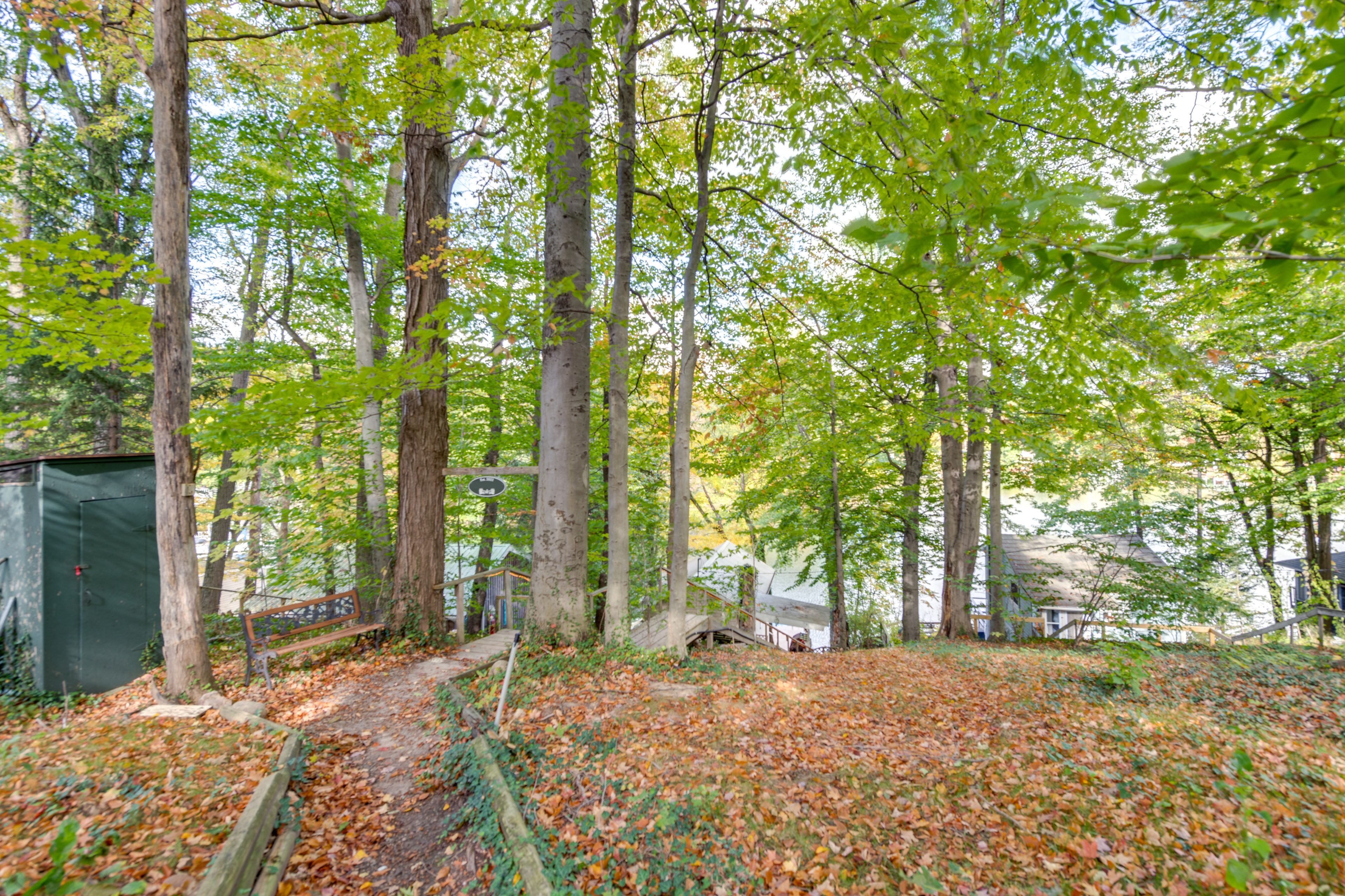 Surrounding Area