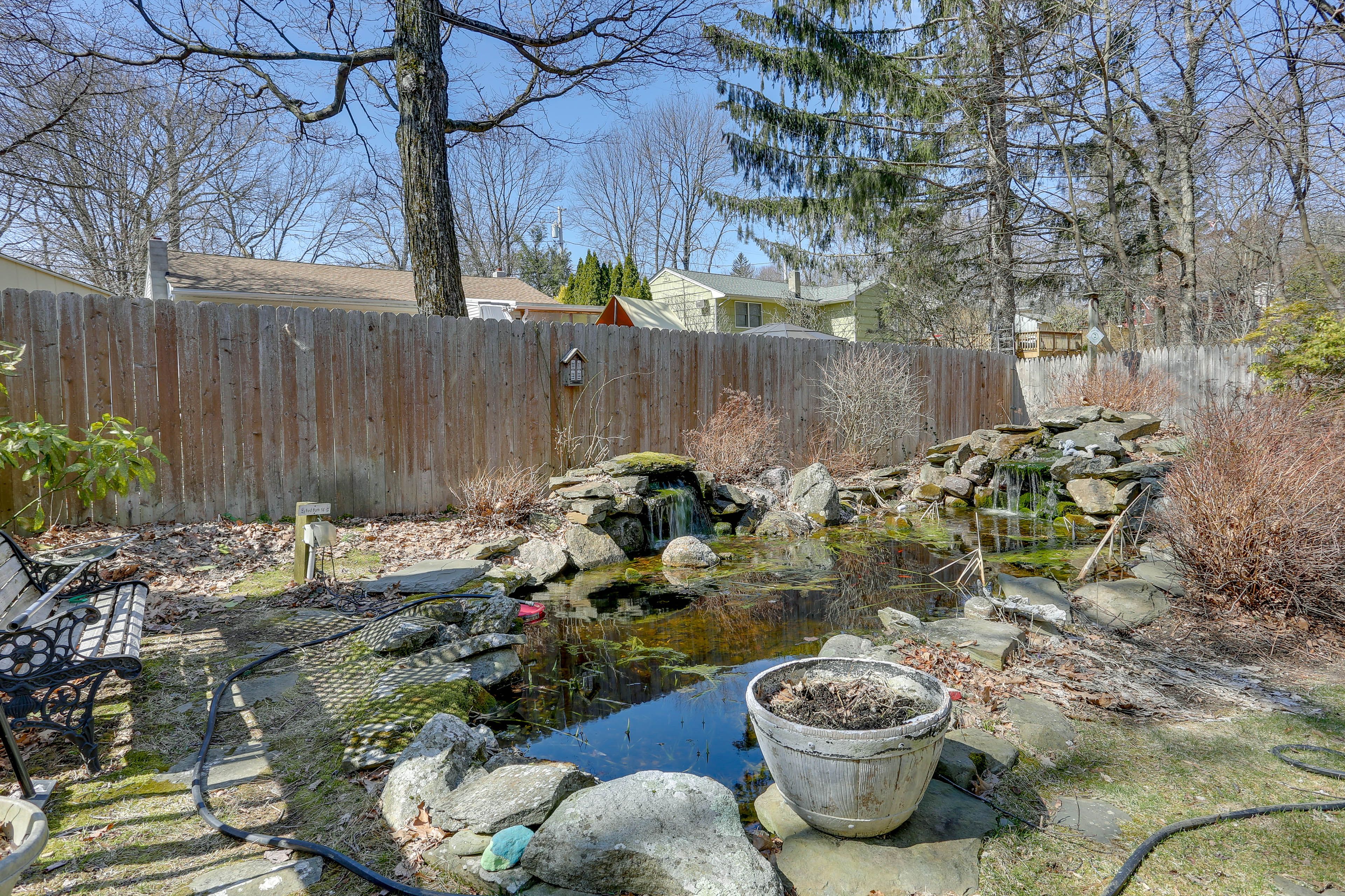 Koi Pond