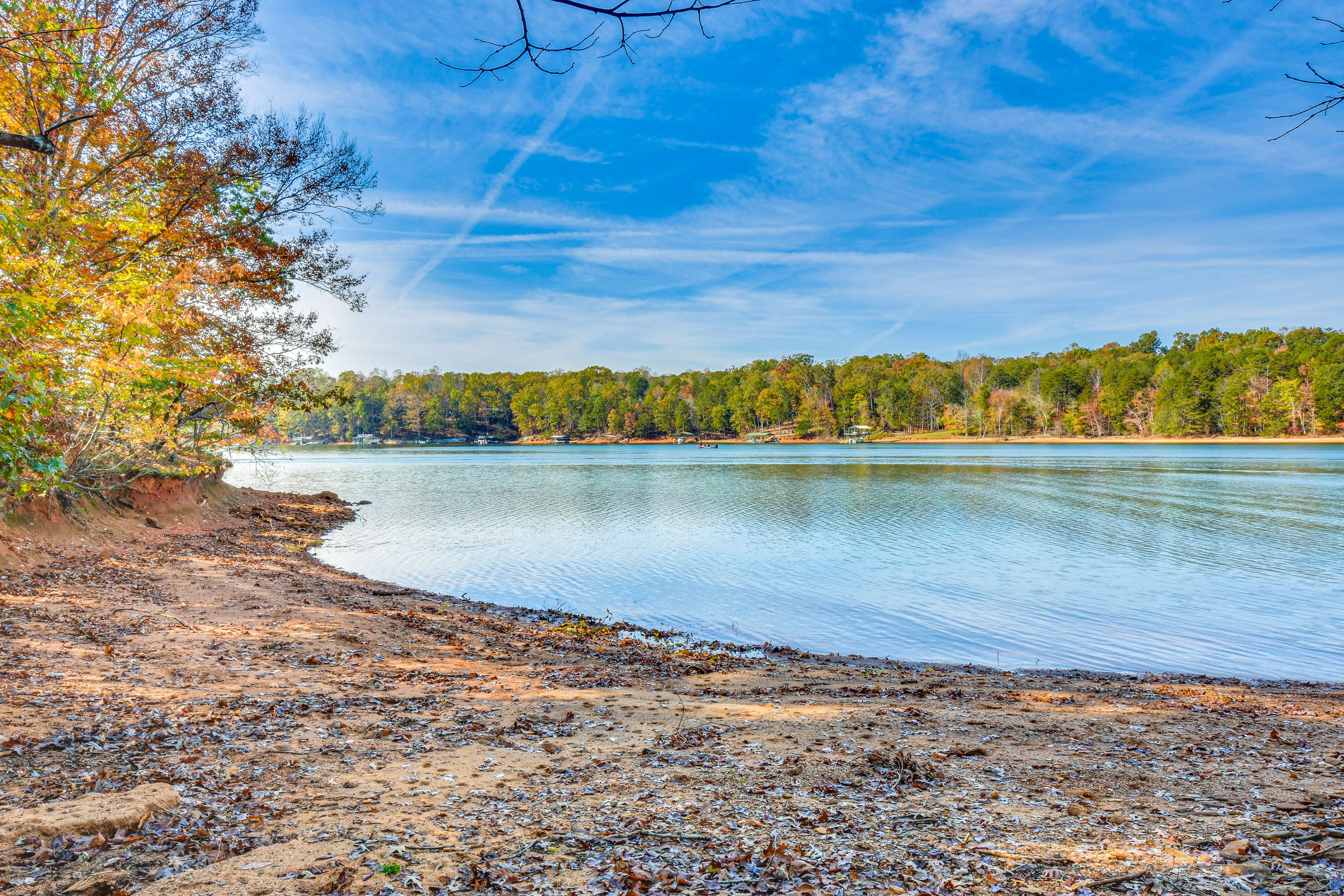 Private Shoreline | Lake Hartwell Views