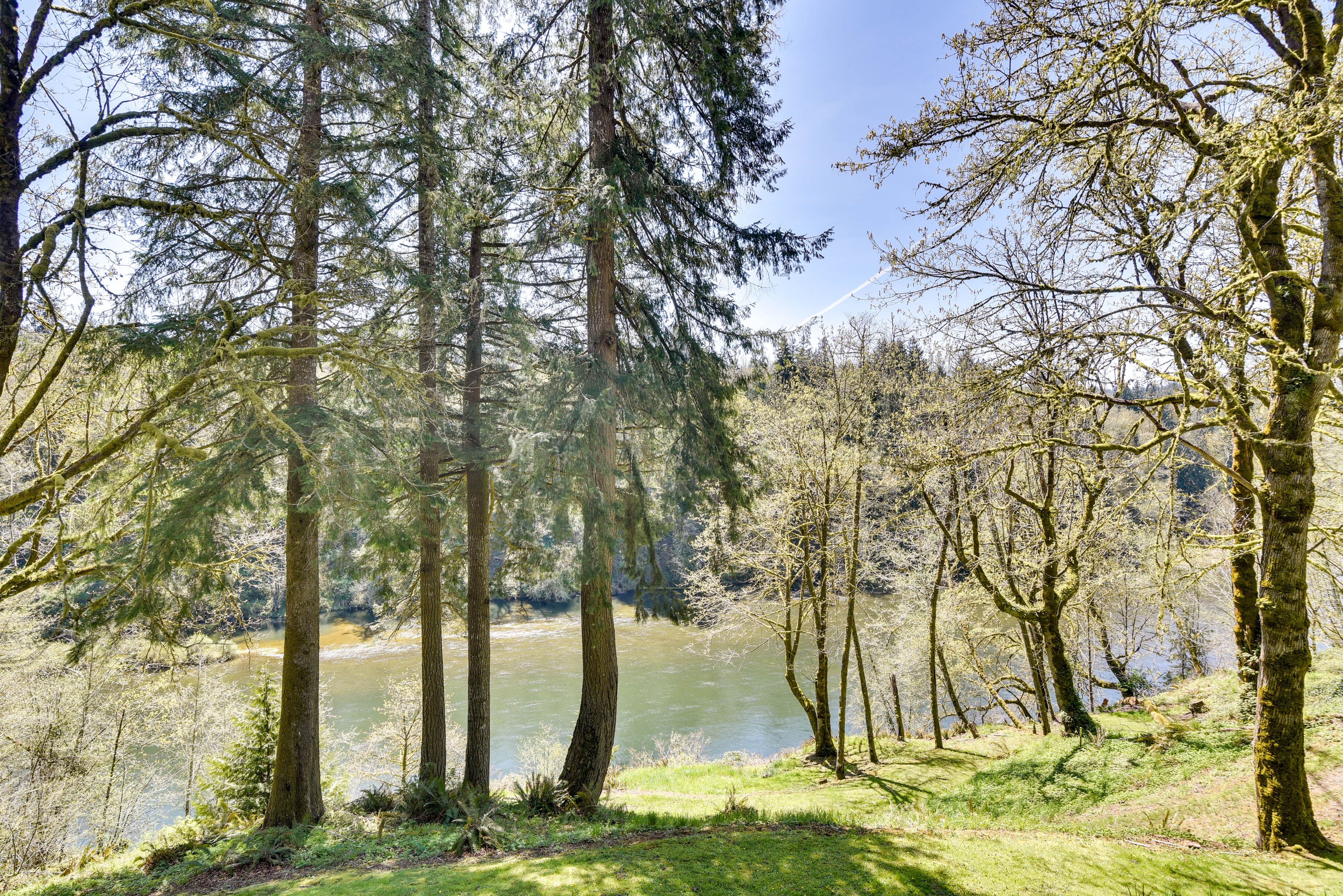 Backyard | Lewis River