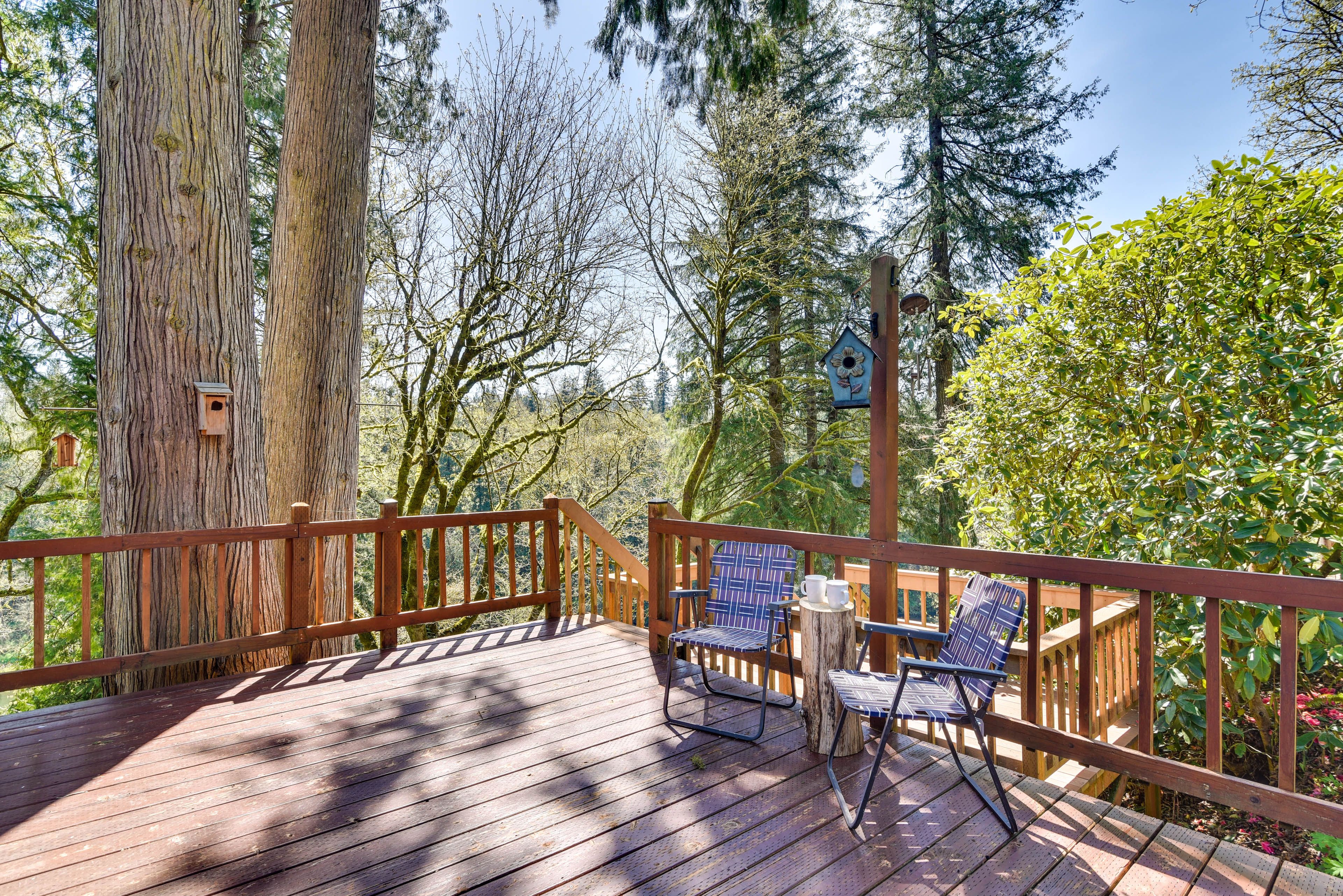 Front Deck
