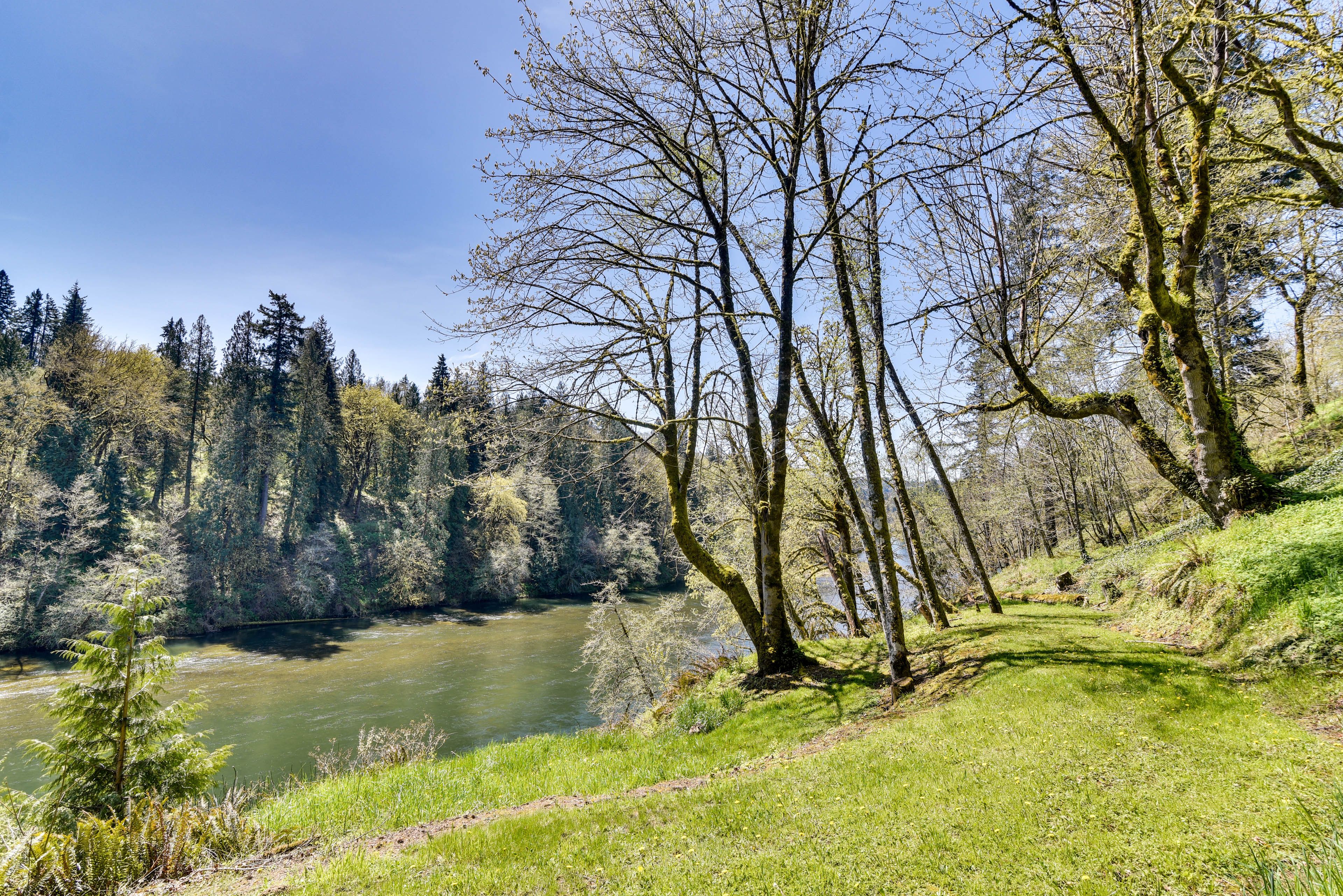 Backyard | Lewis River