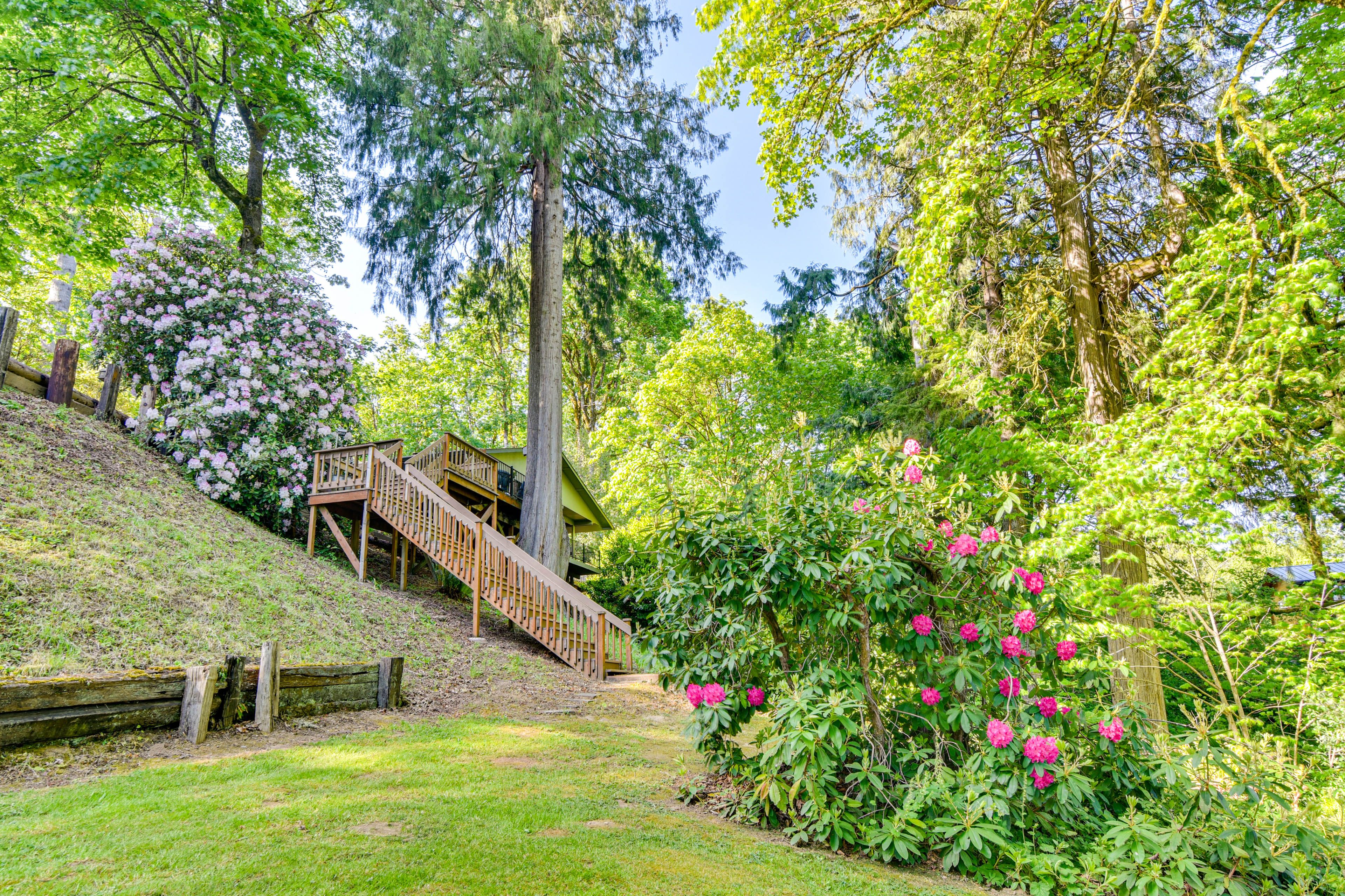 Backyard | Lewis River