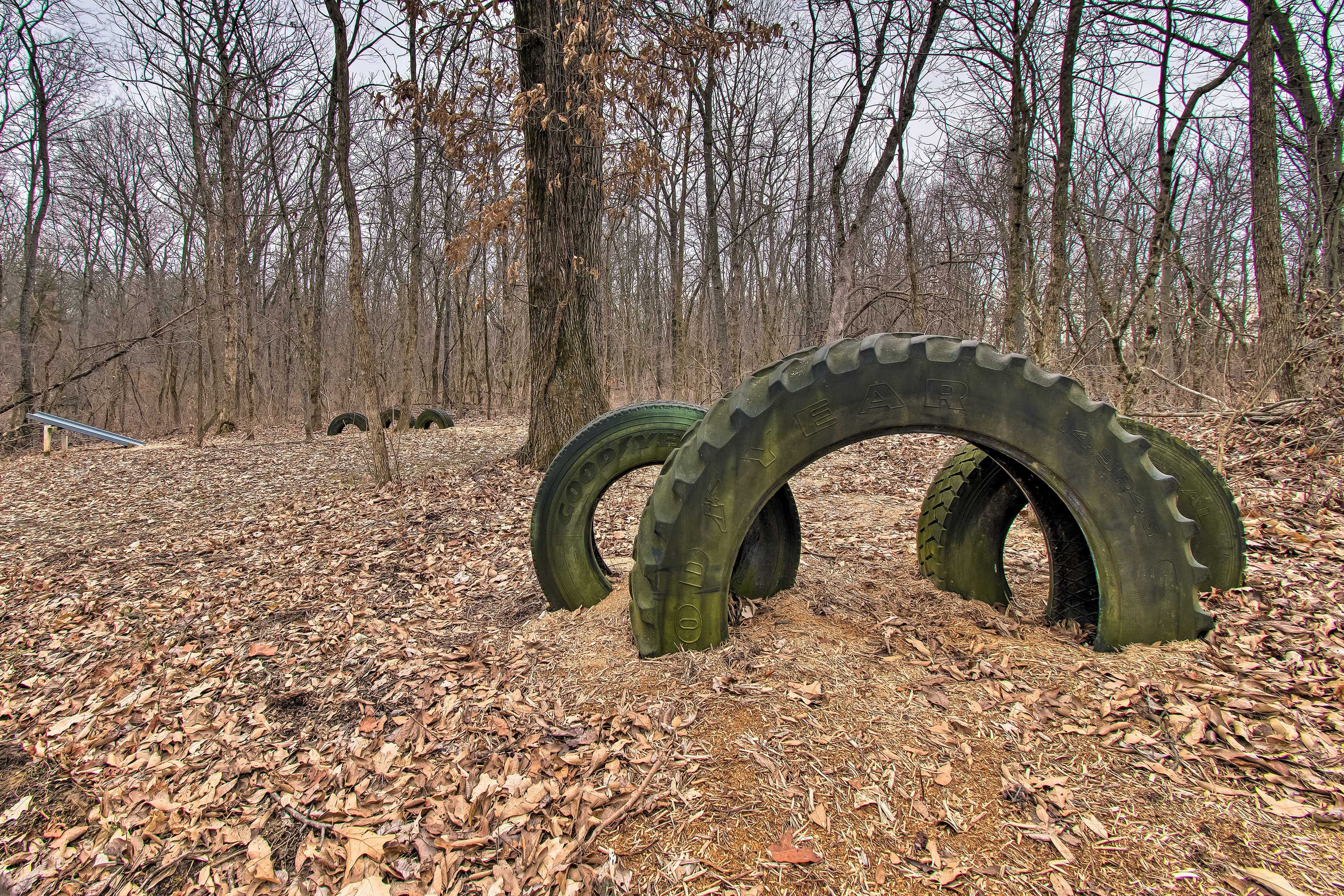 Image 31