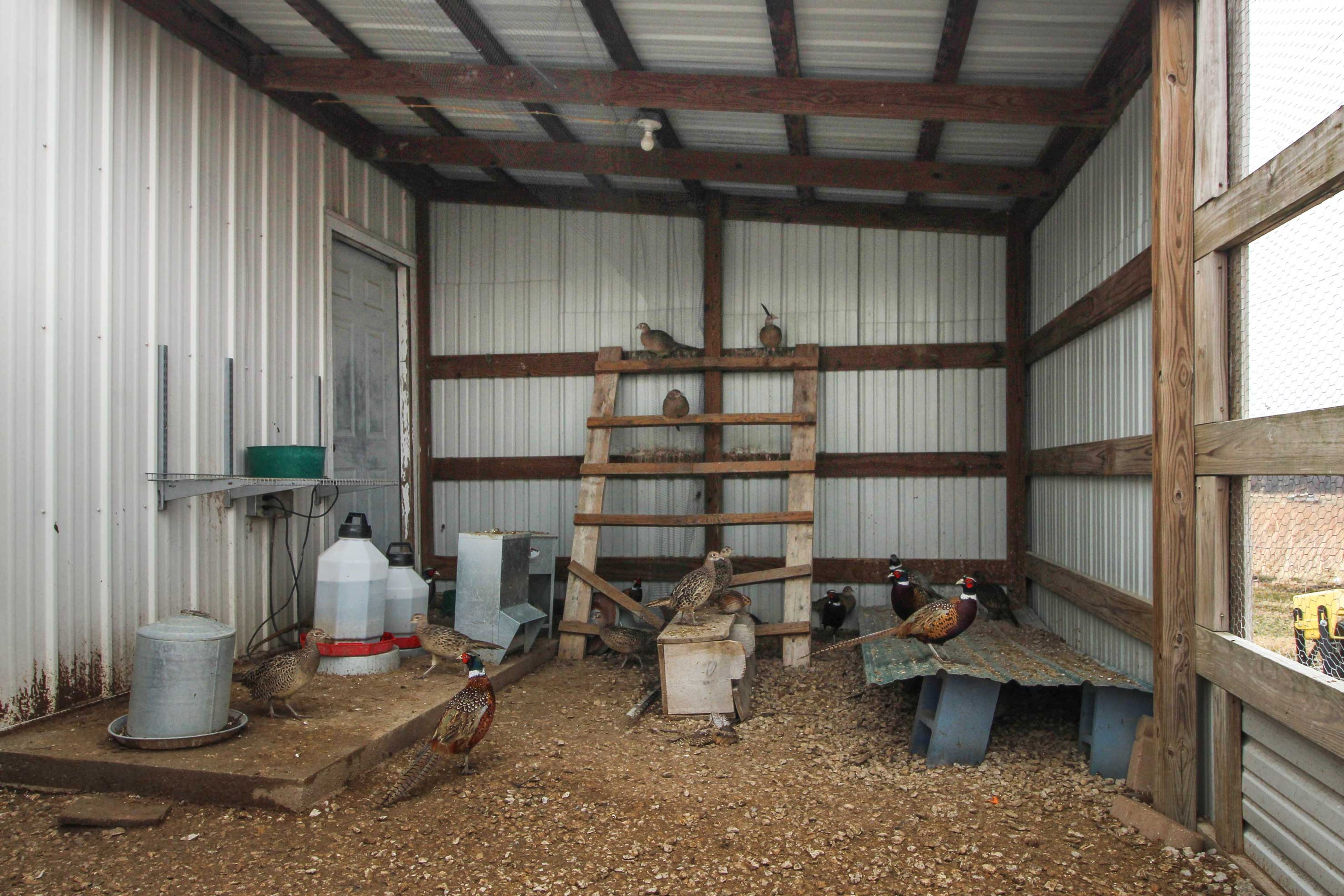 Pheasant Gaming (Addt'l Fee, Paid On-Site)