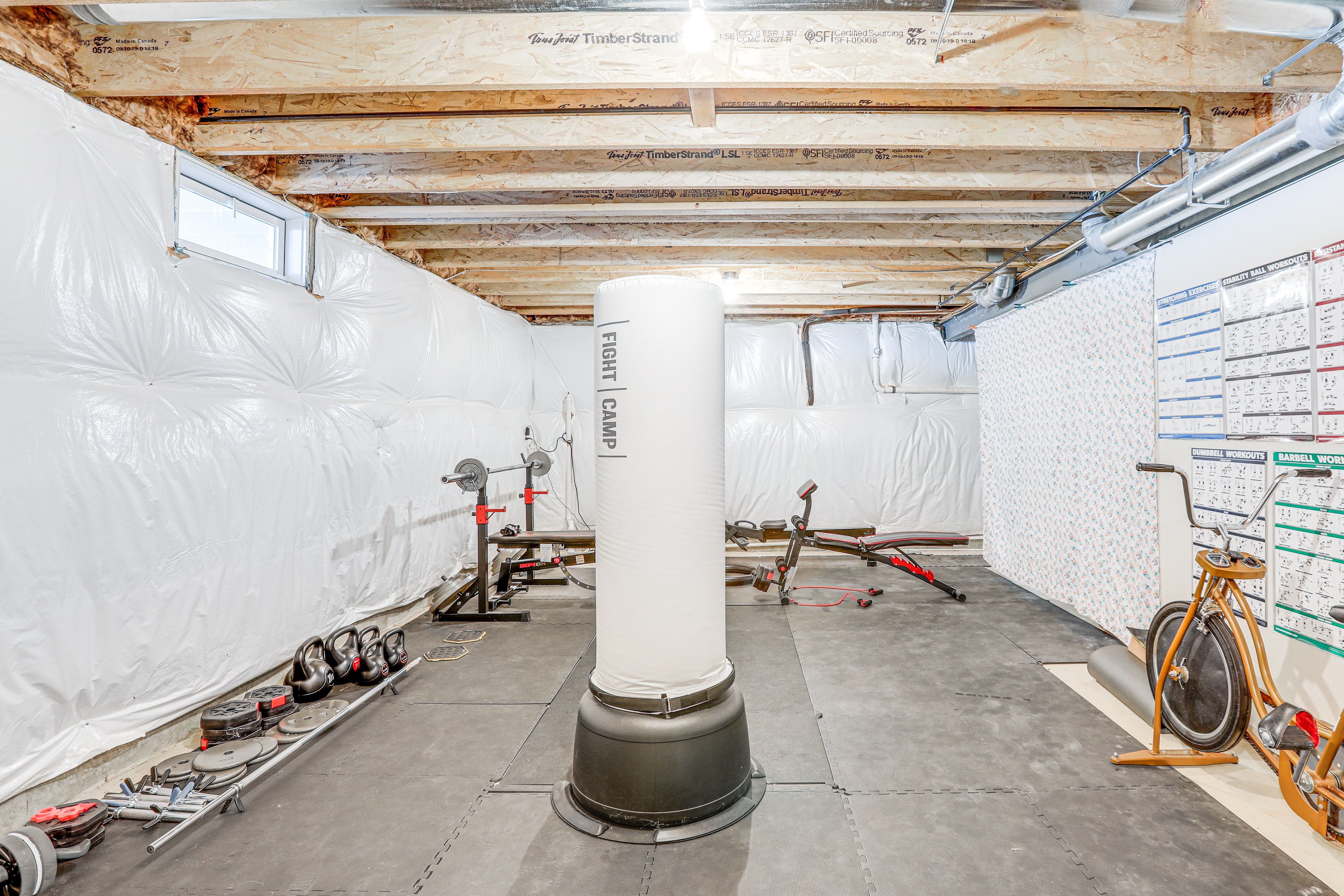 Home Gym | Lower Level