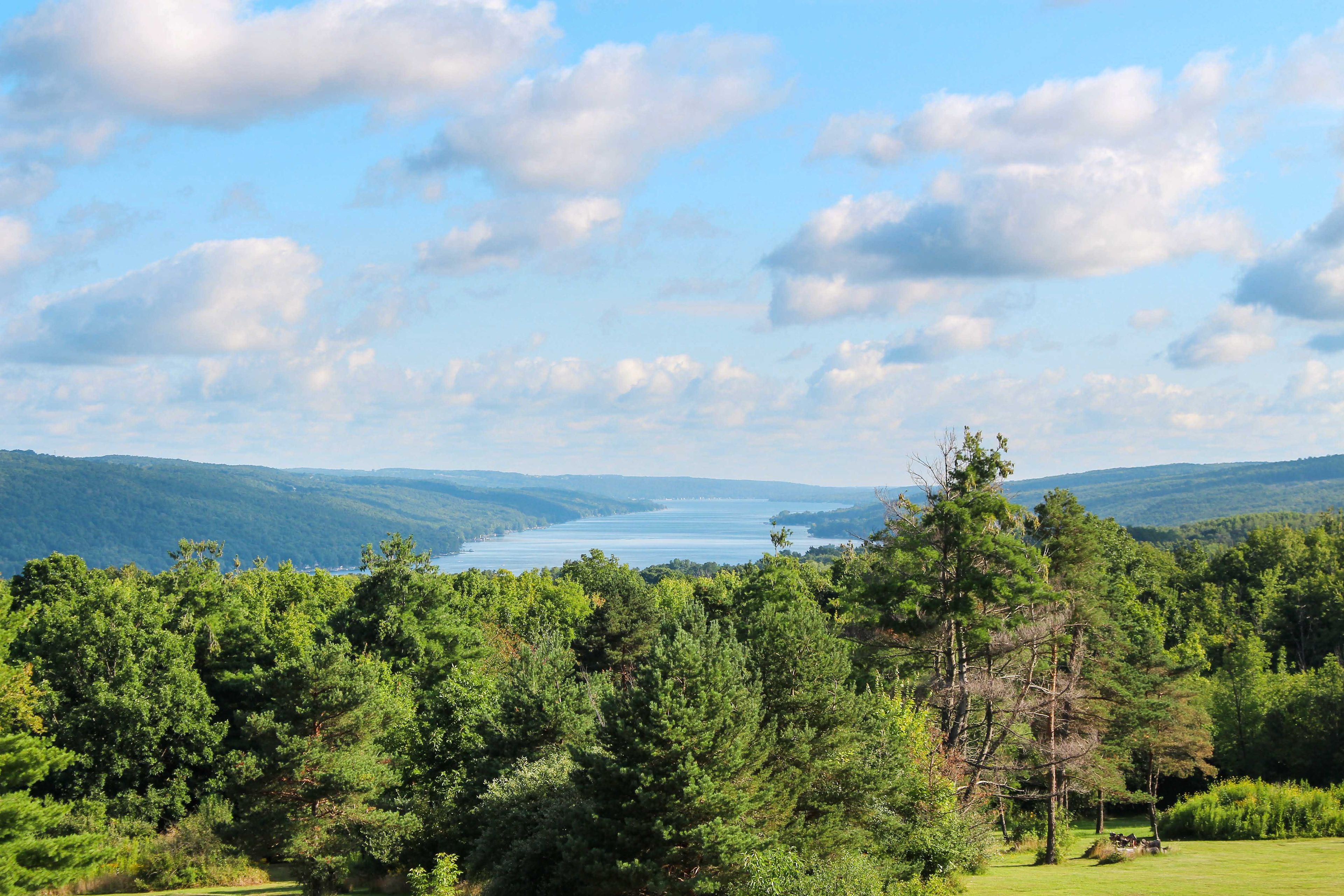 Lake Views