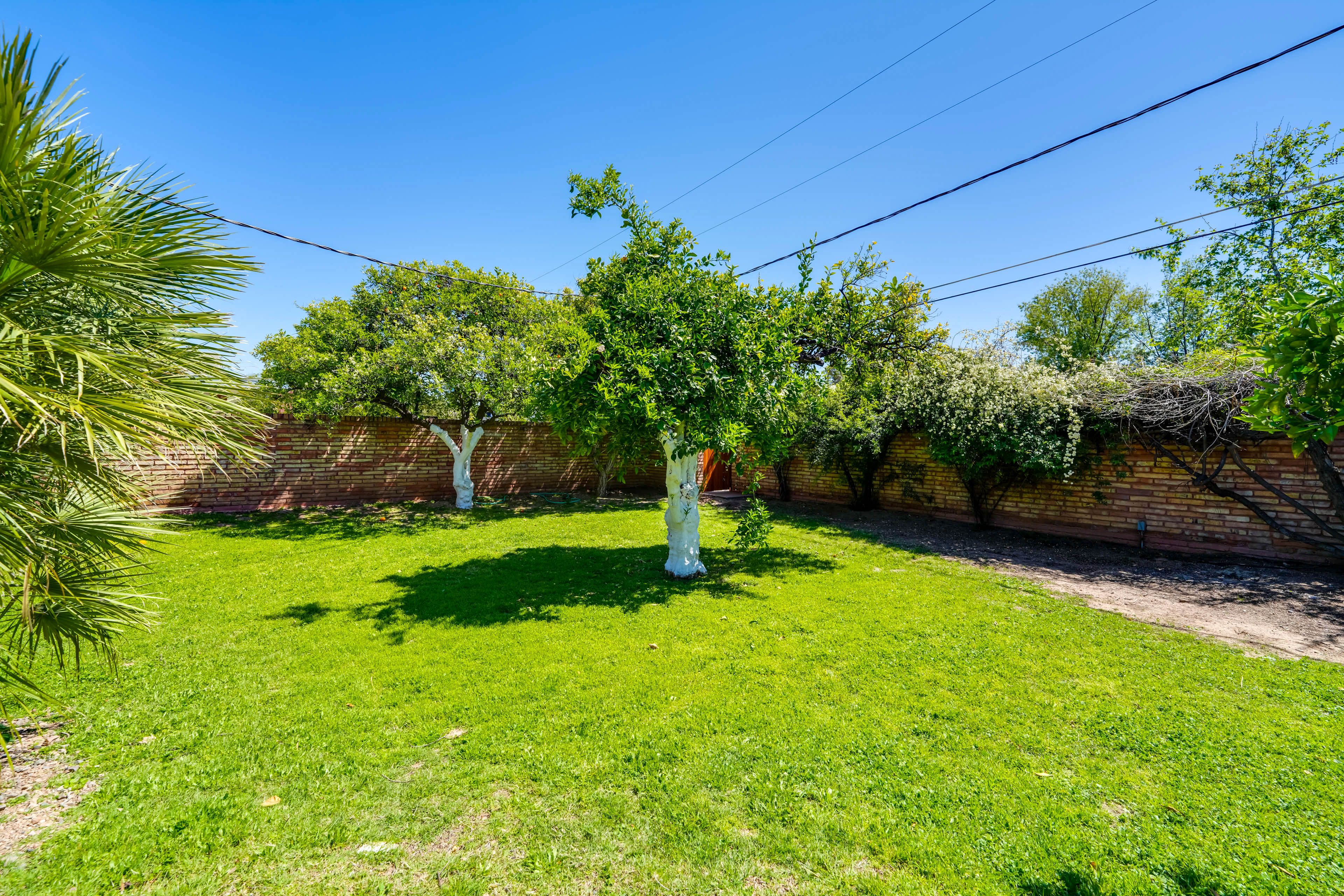 Shared Amenities | Backyard