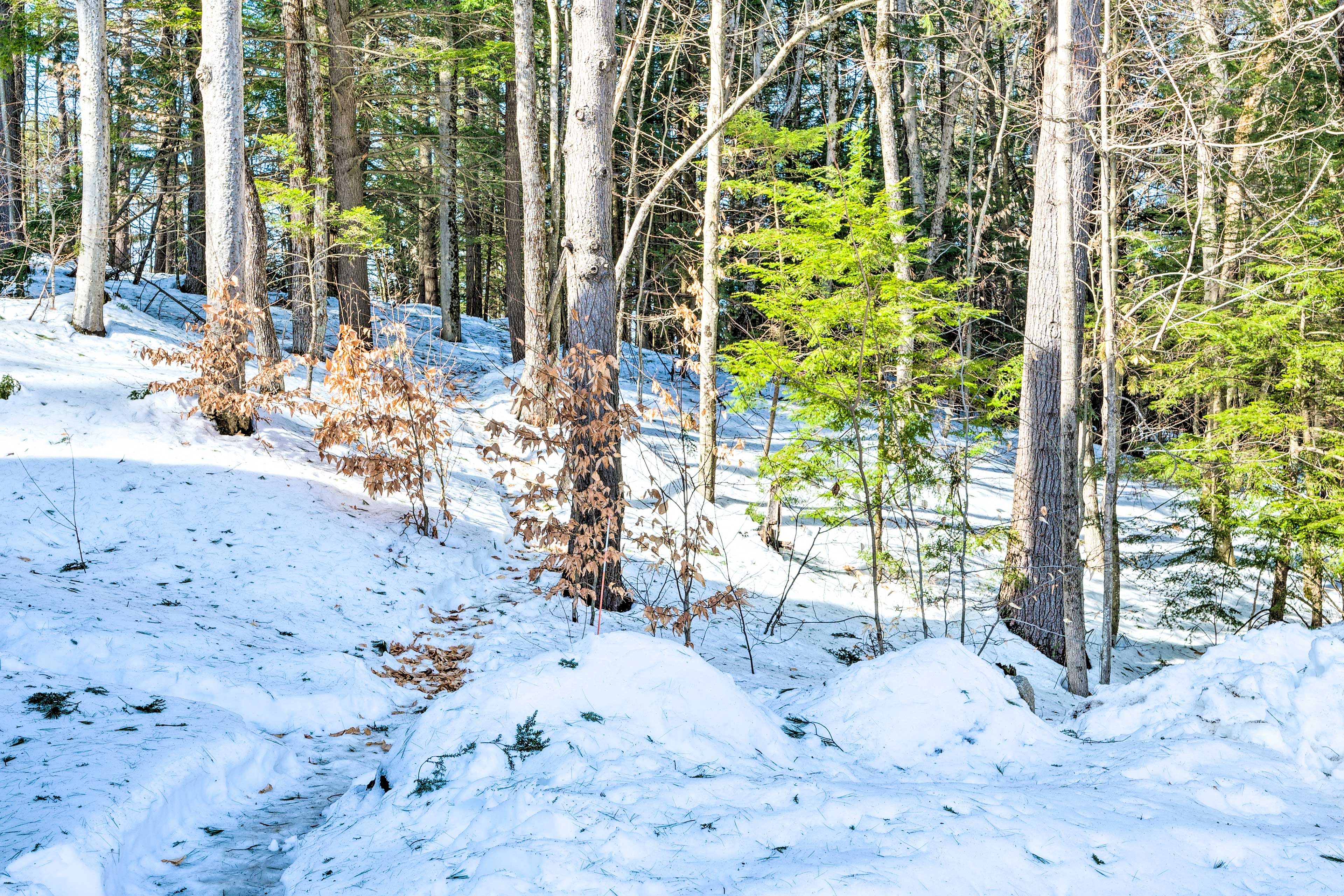 Trail Access
