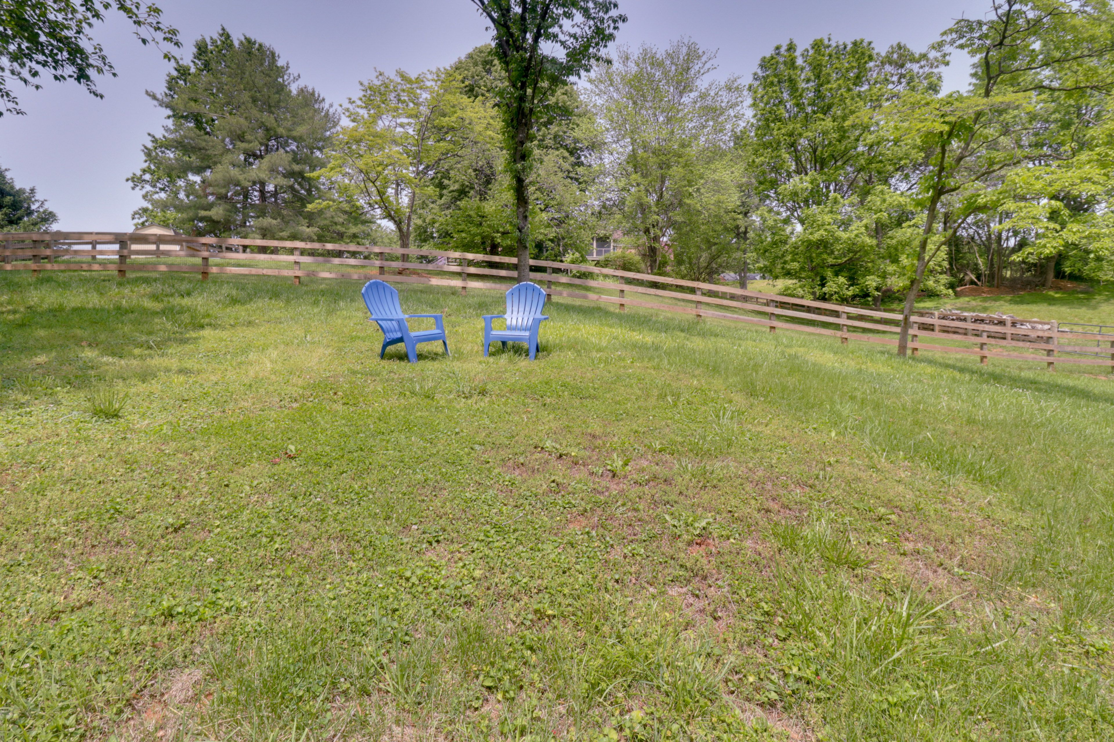 Image 32