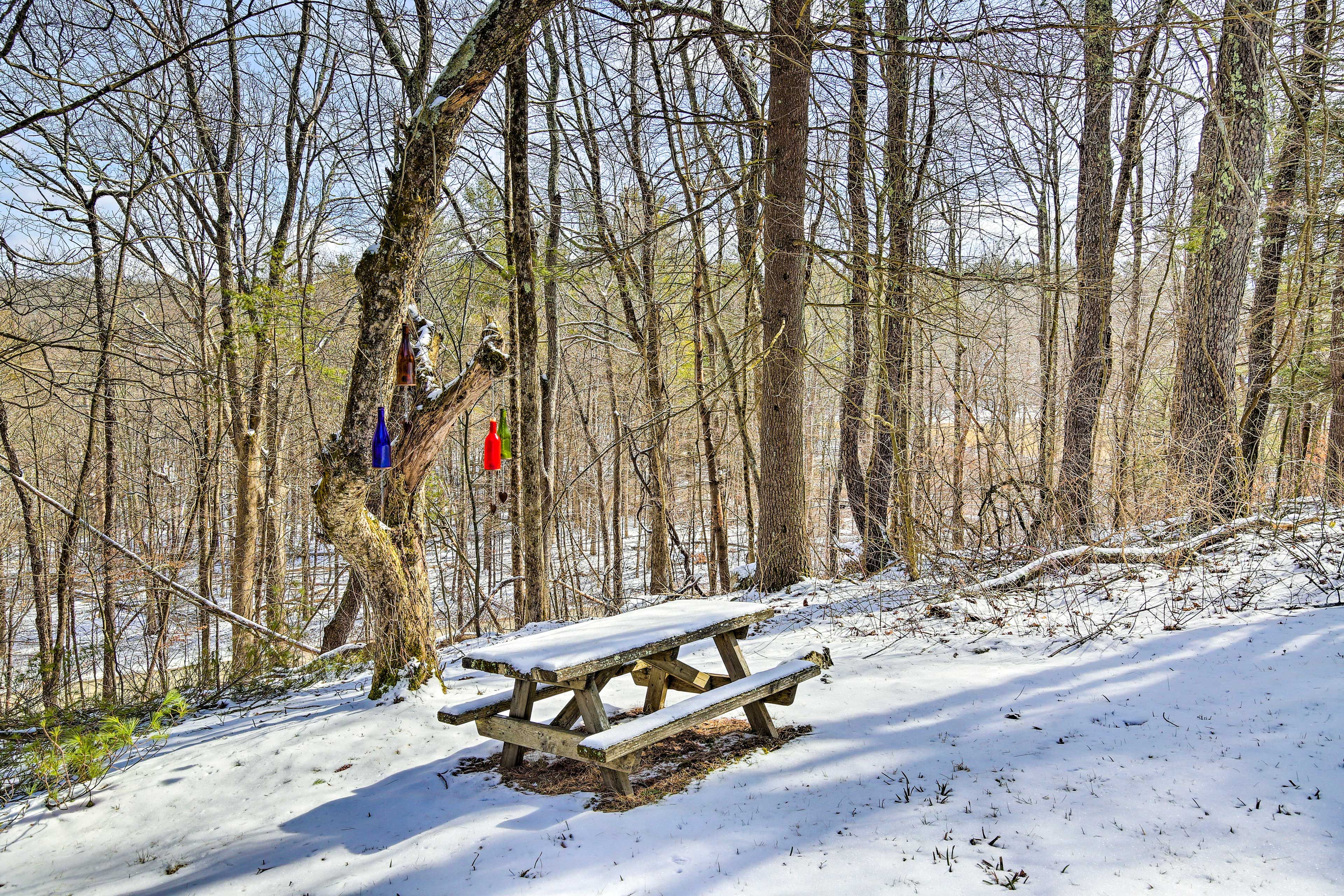 Picnic Area