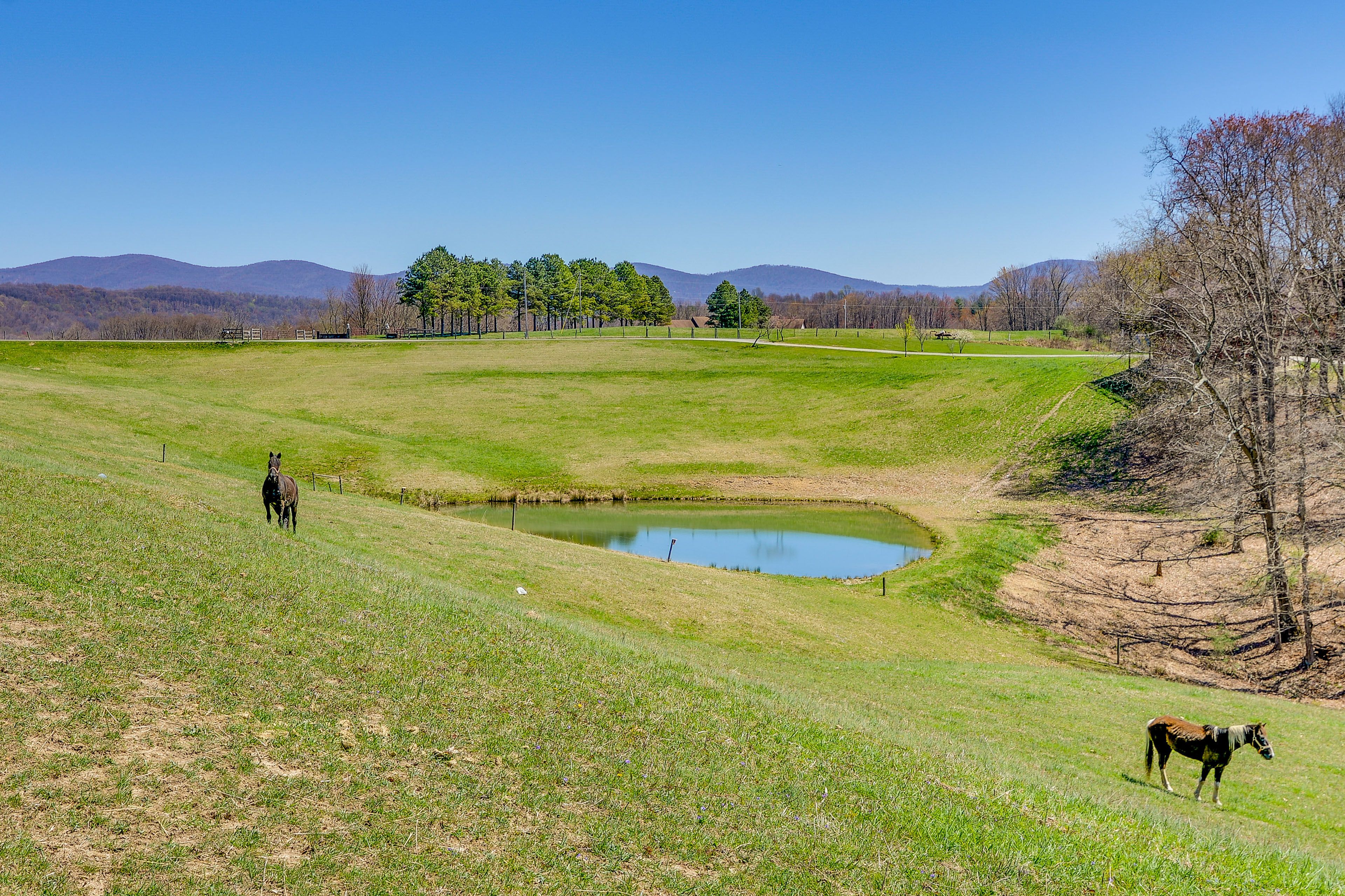 Fishing Pond | Mountain Views | Private Hot Tub | Grills | Fire Pit