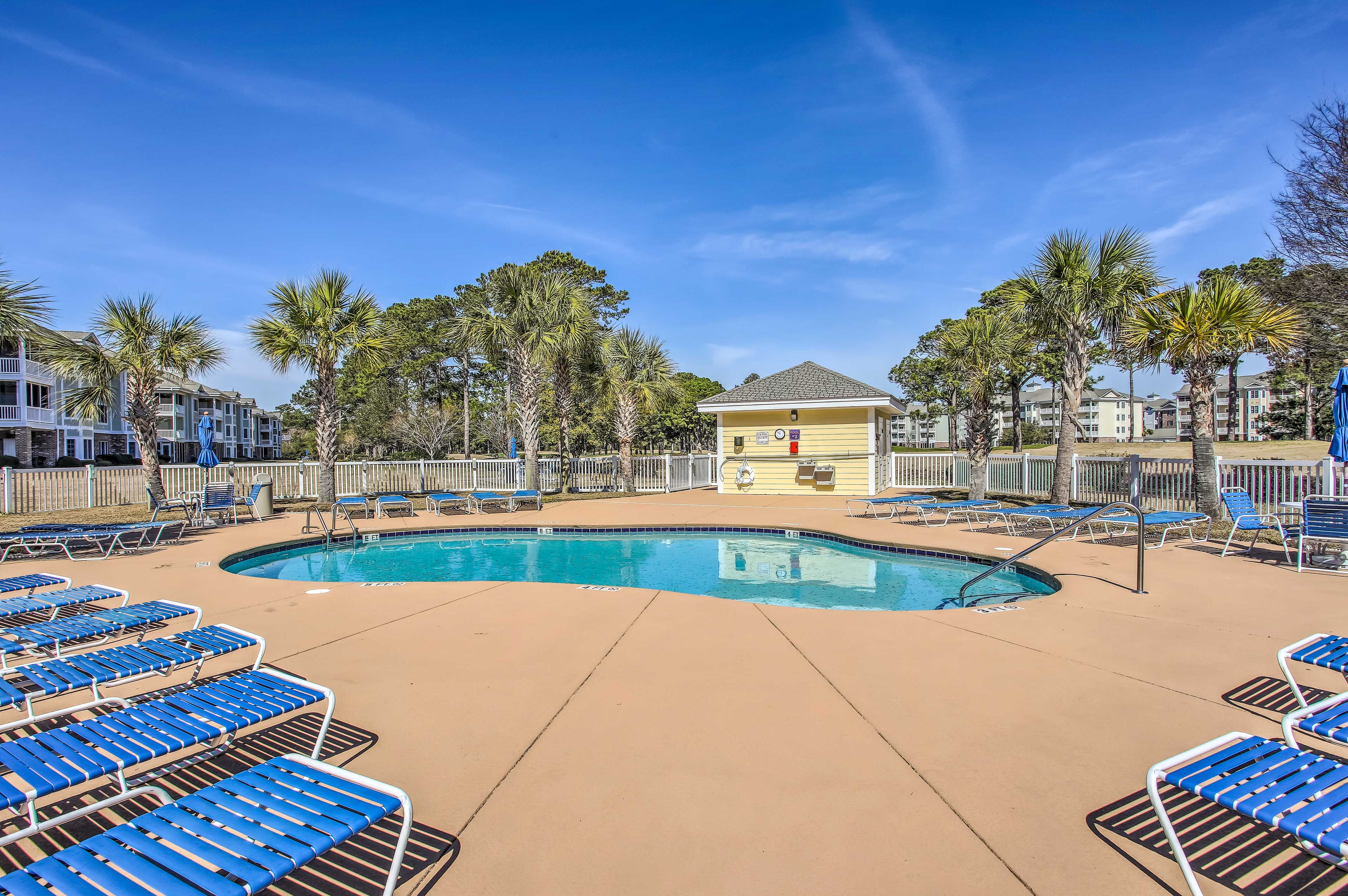 Community Pool