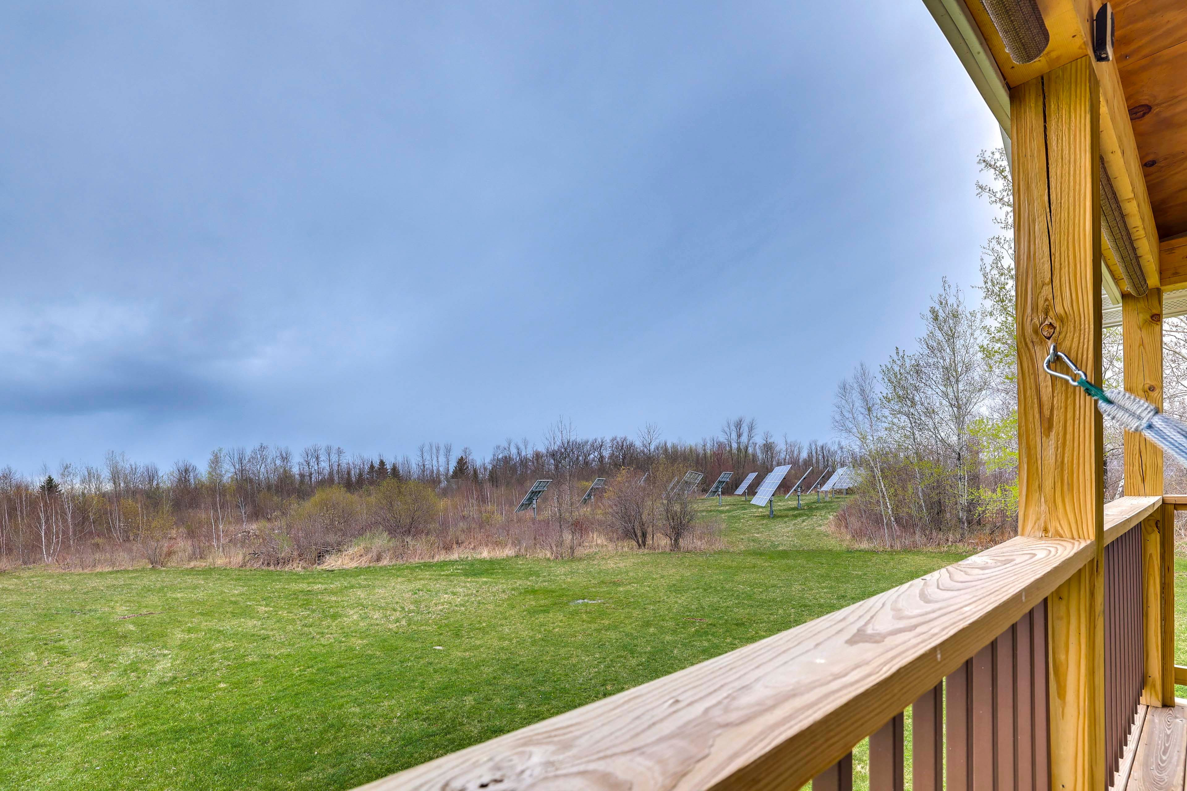 Wooded Yard | View