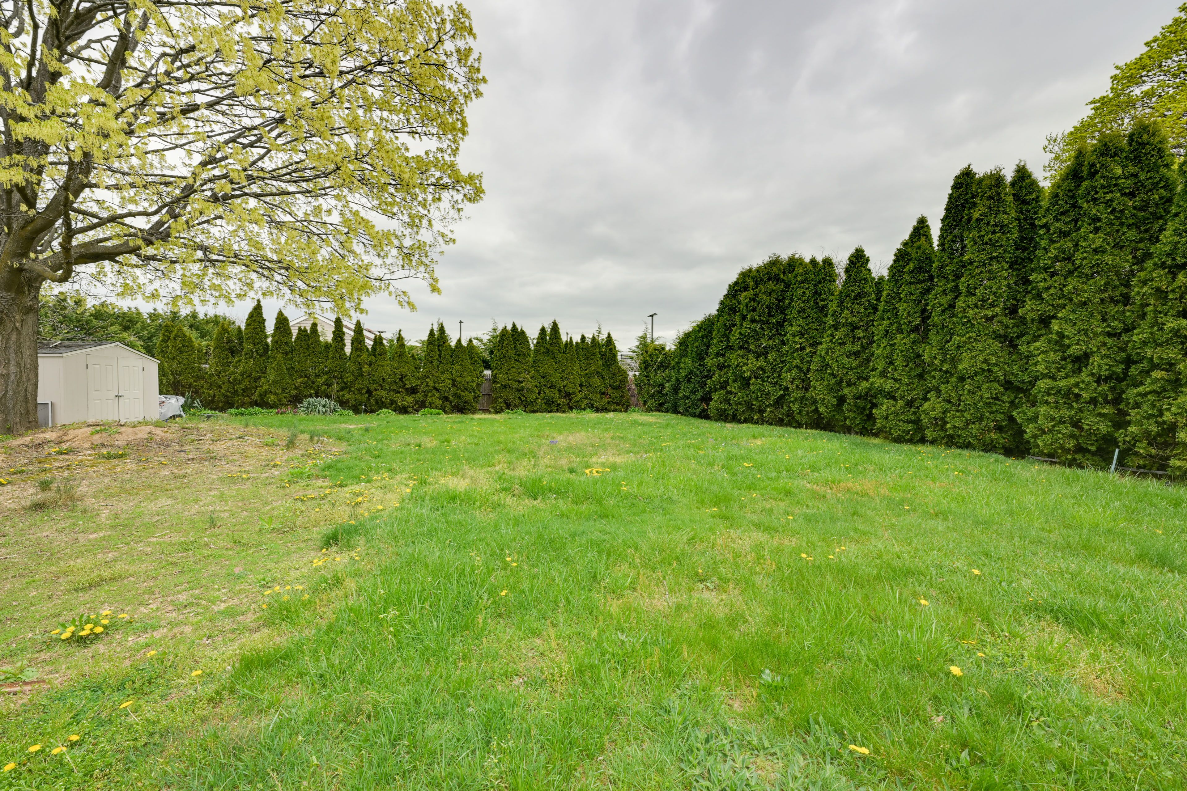 Image 24