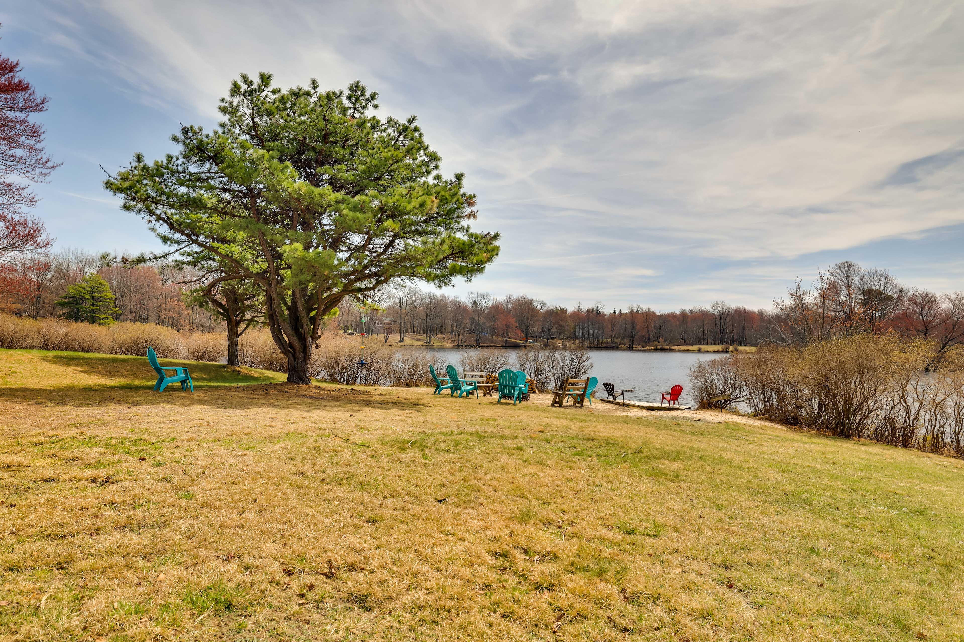 Lakefront Backyard | Fire Pit | Tree Swing