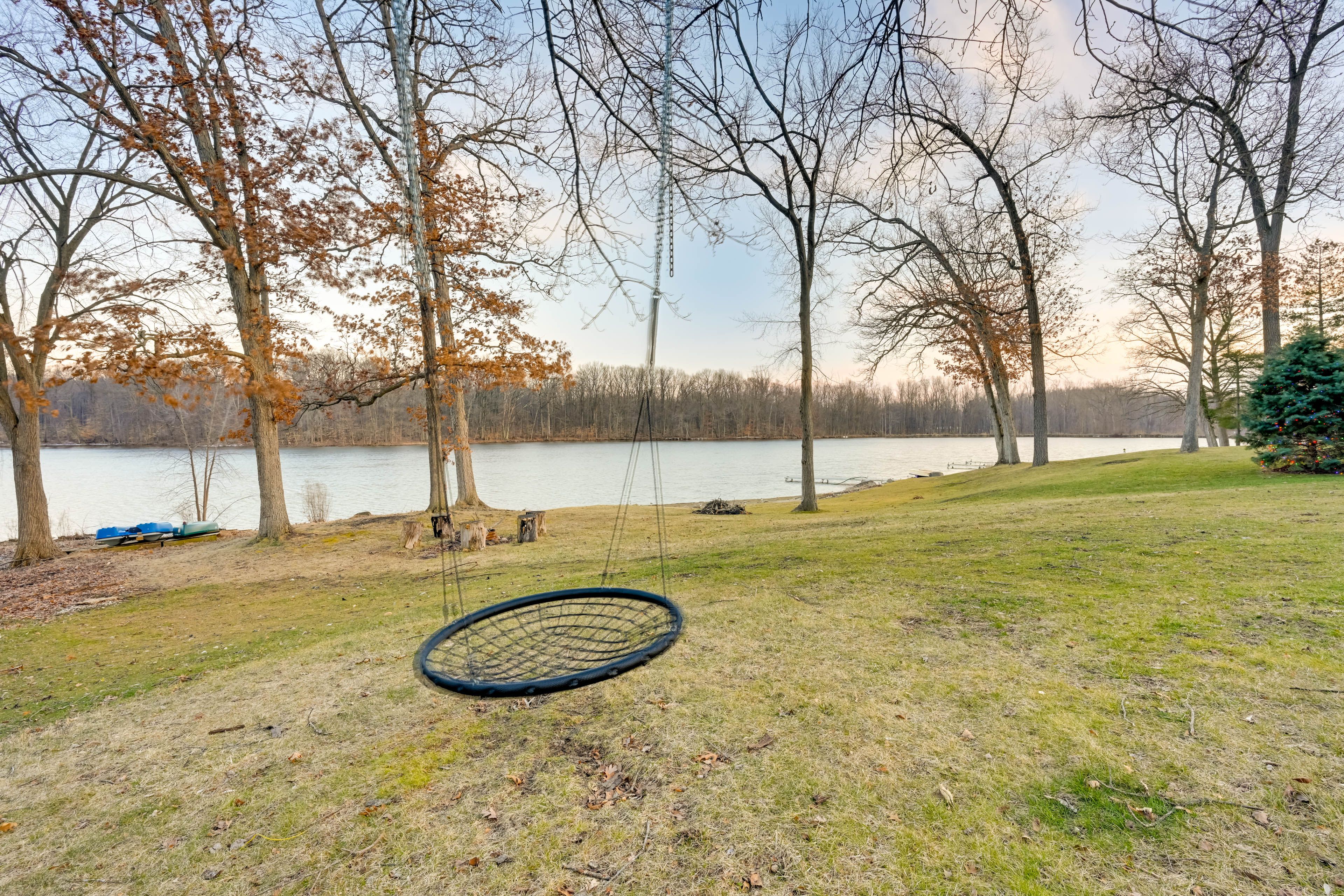 Tree Swing