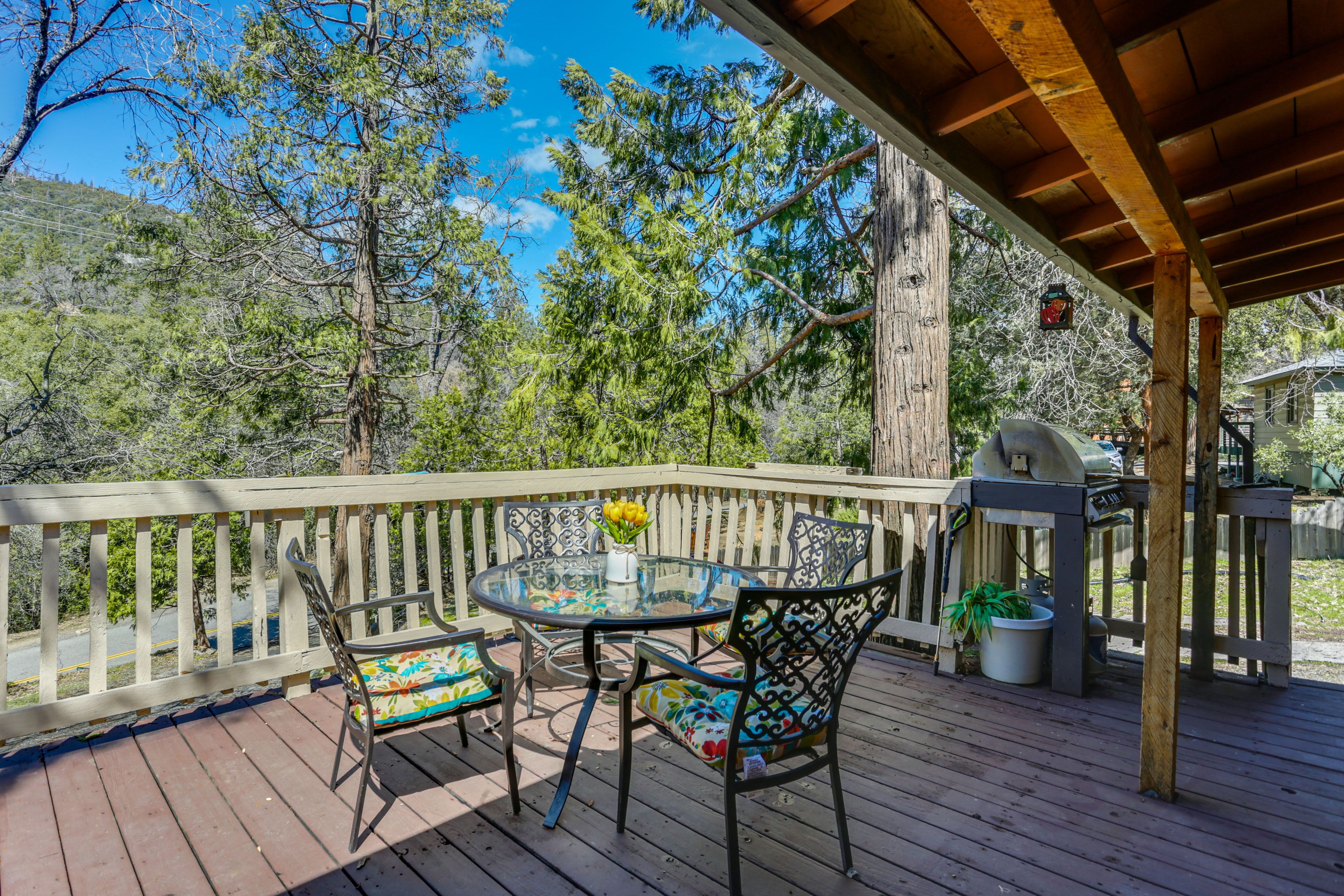 Deck | Outdoor Seating Areas | Gas Grill