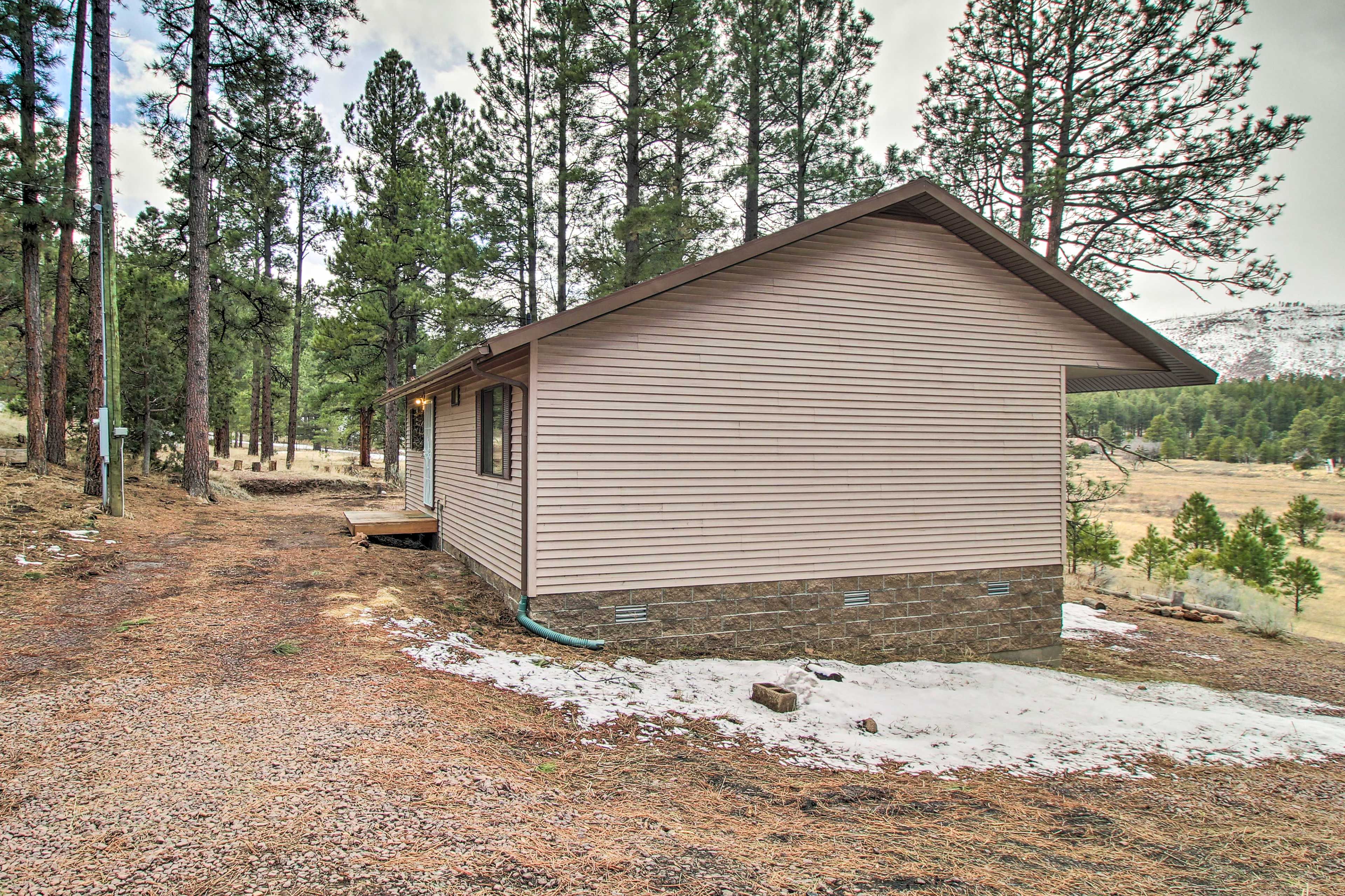 Cabin Exterior