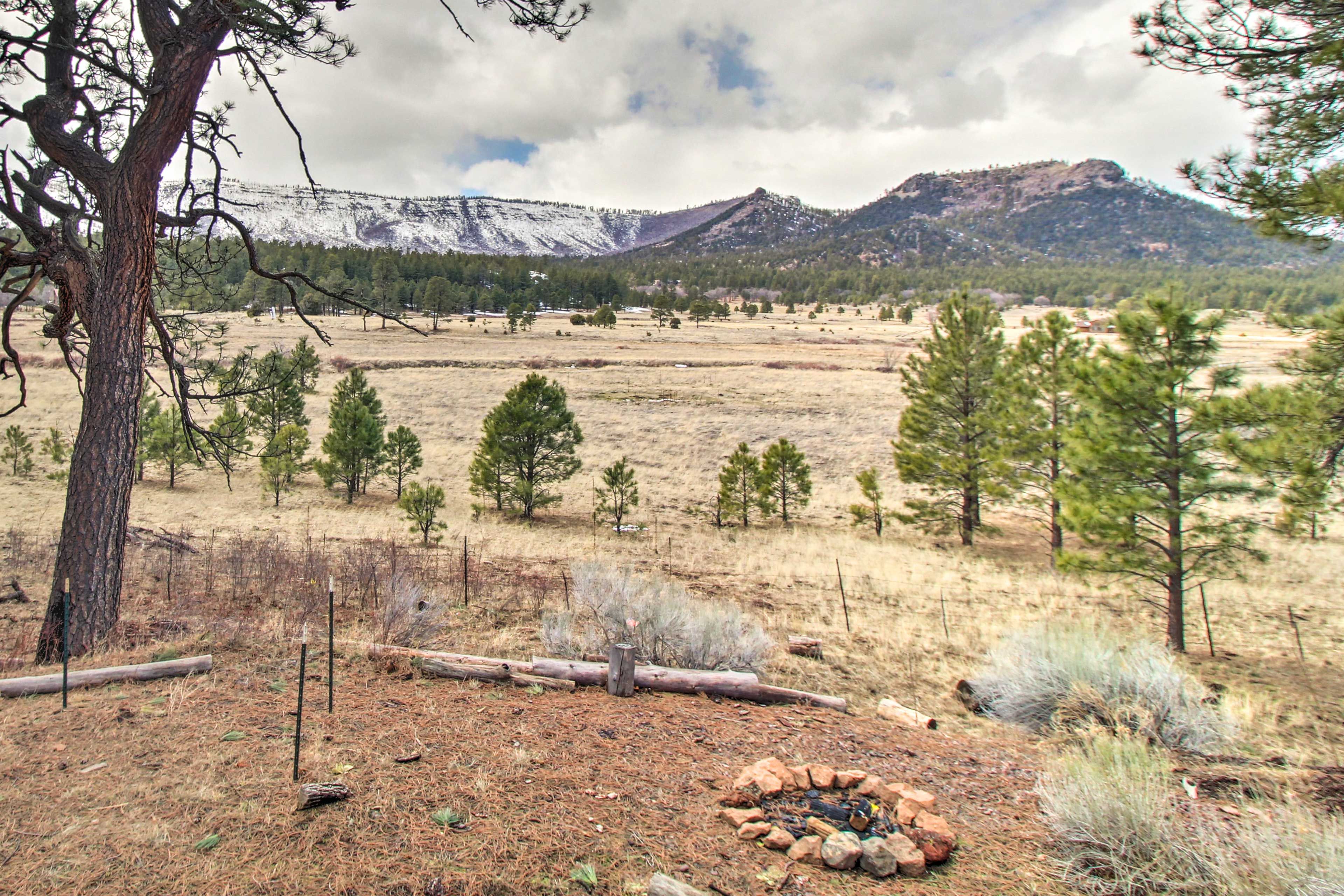 Fire Pit | Mountain Views