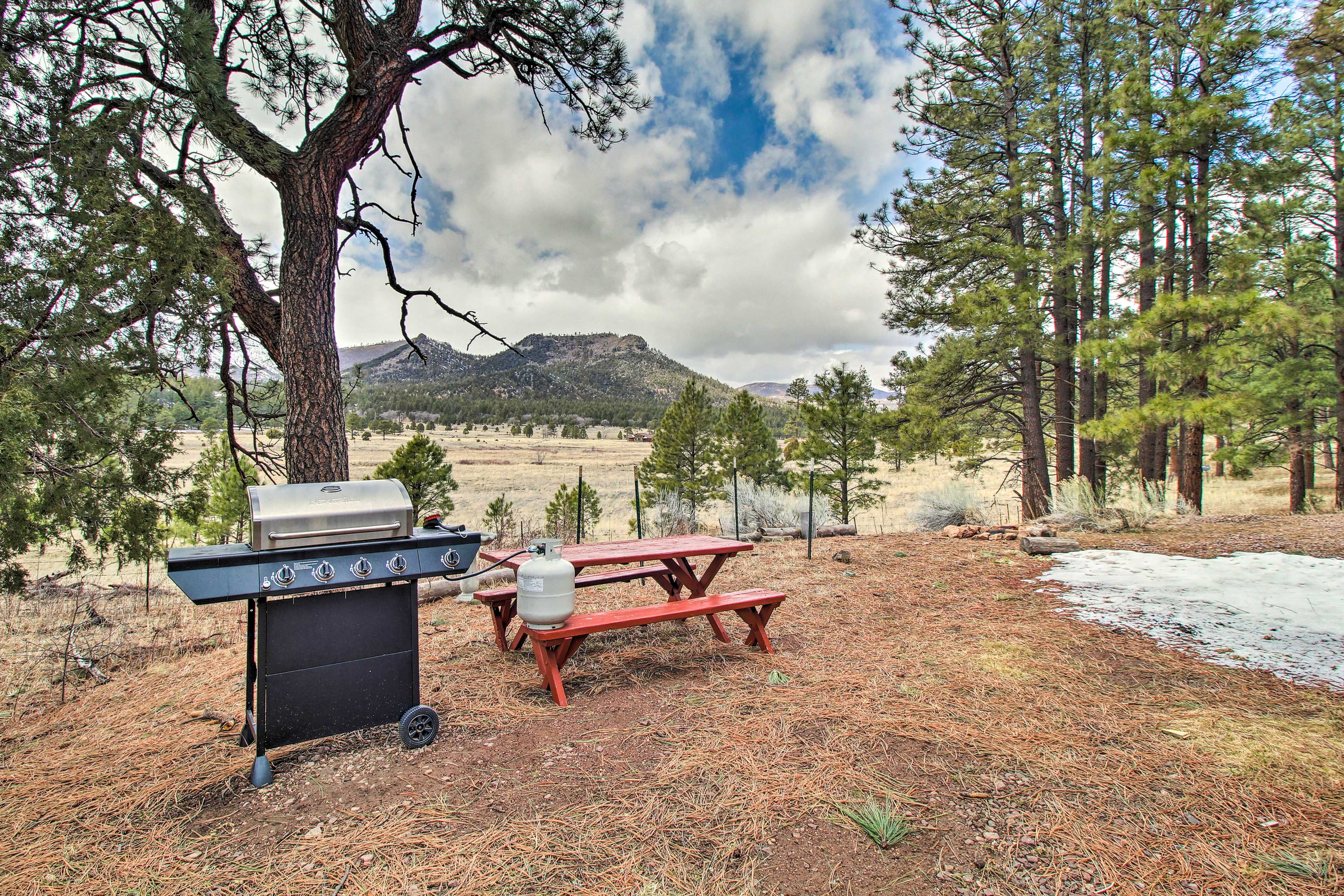 Outdoor Dining Area | Mountain Views | Boating + Hunting Nearby