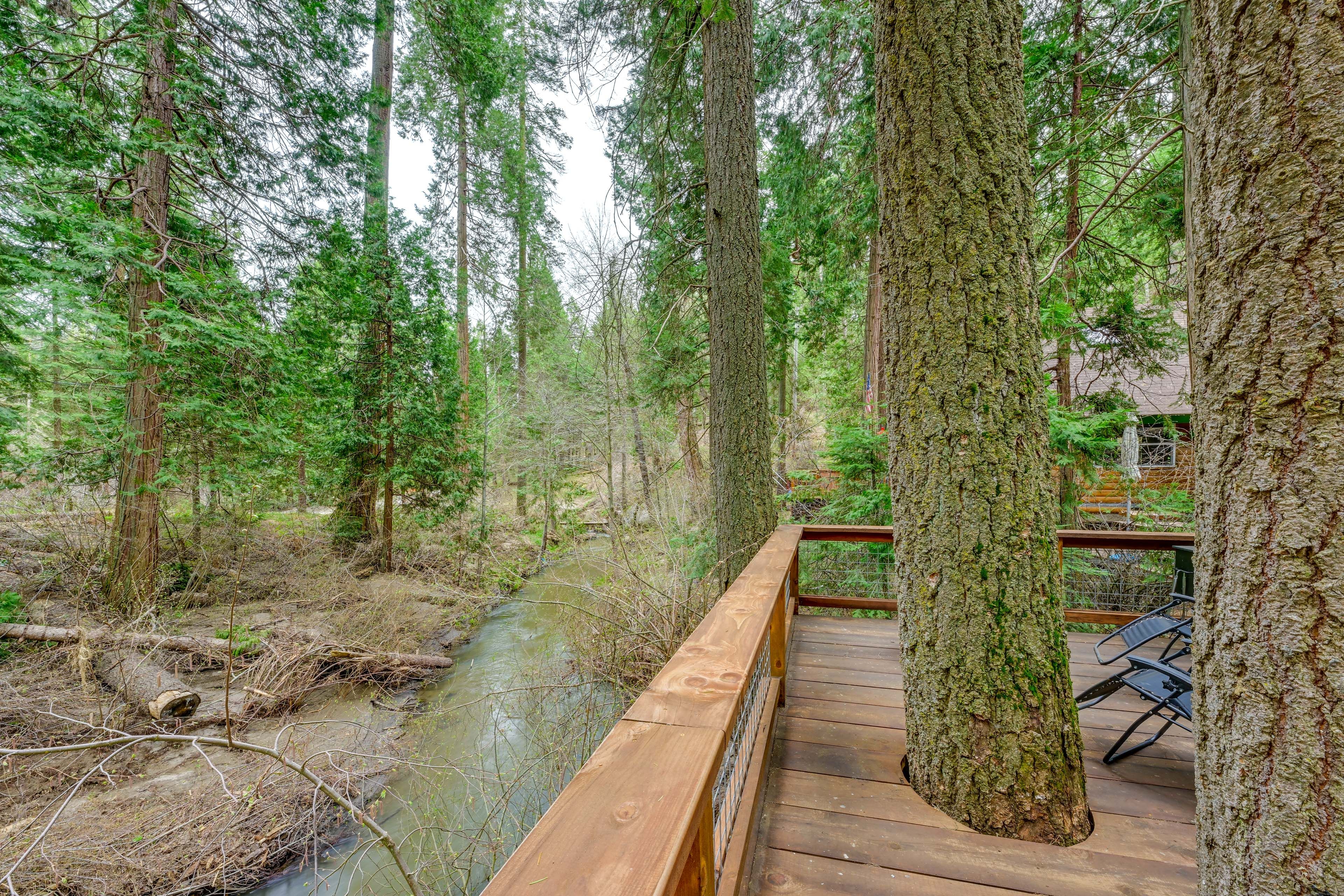 Creekside Deck | Peaceful Wooded Surroundings