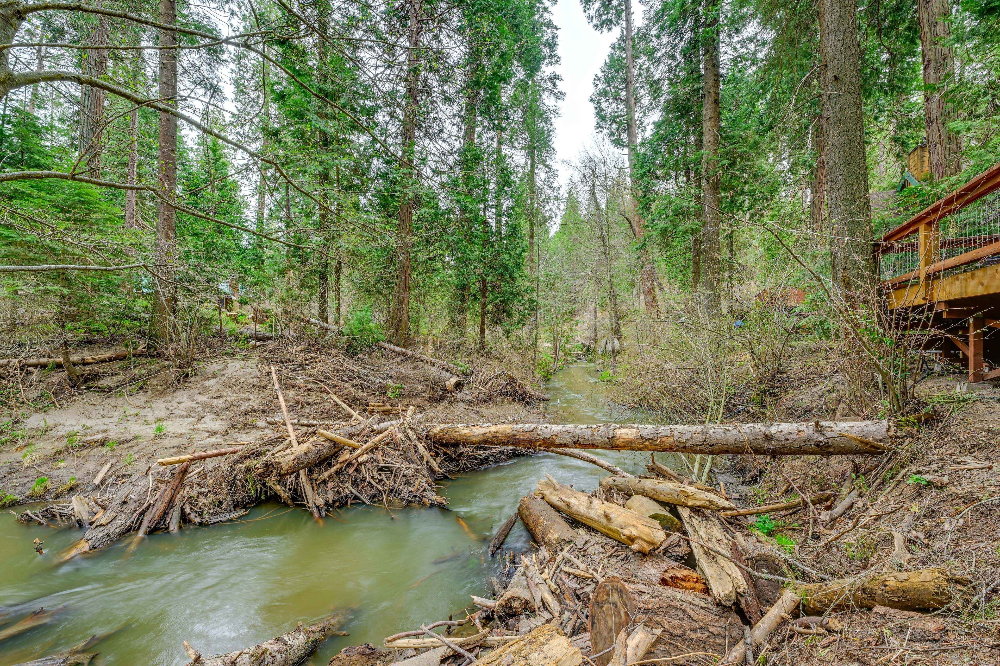 On-Site Creek
