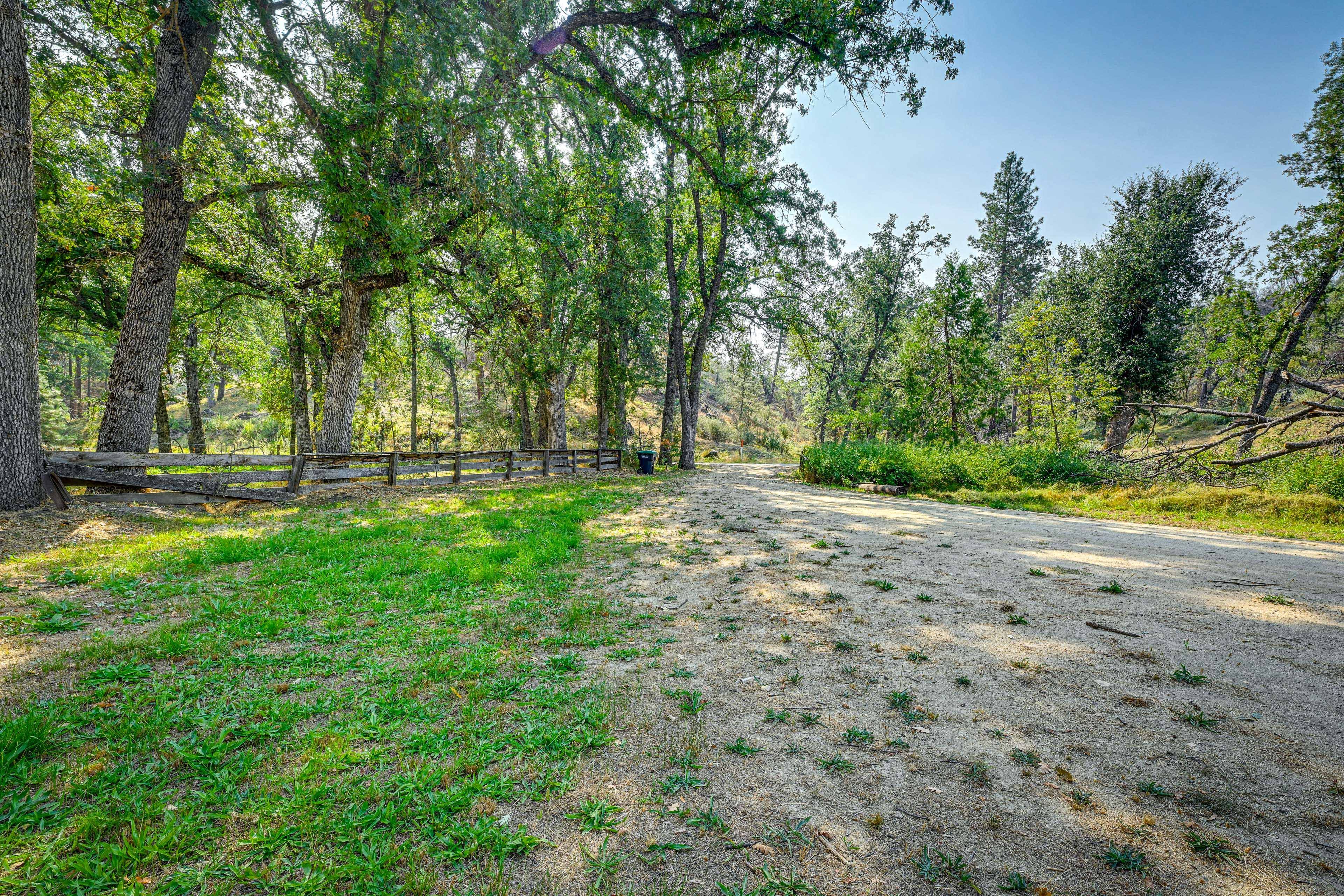 Parking | Driveway (10 Vehicles) | RV/Trailer Parking