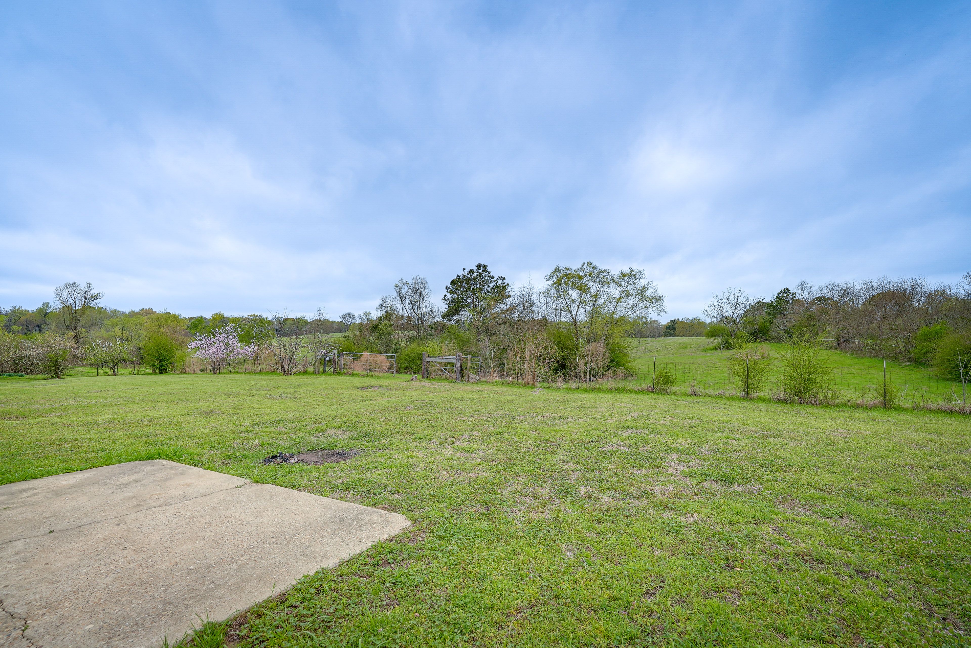 Property Views