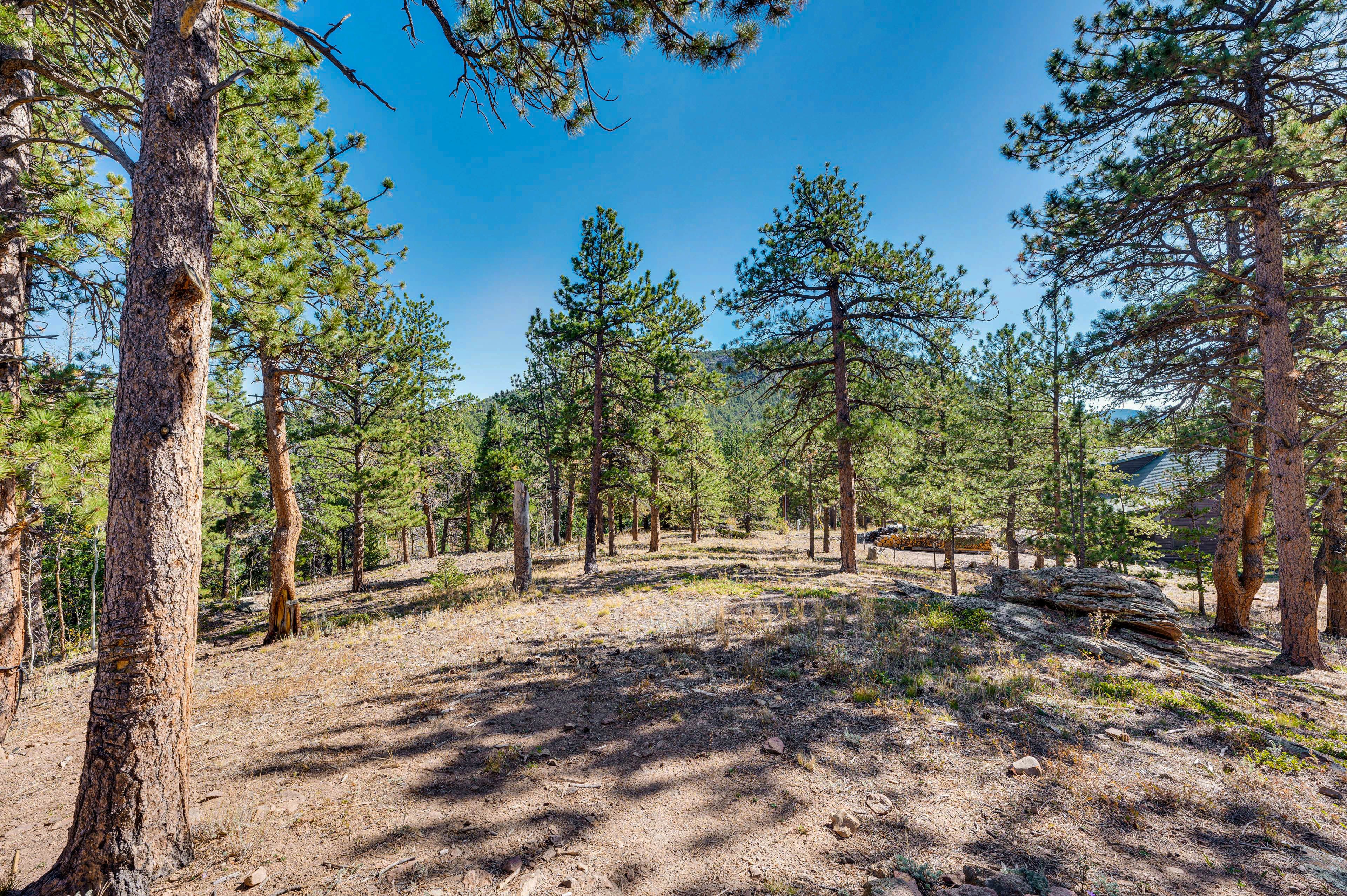 Private Yard | ~ 2-Acre Plot