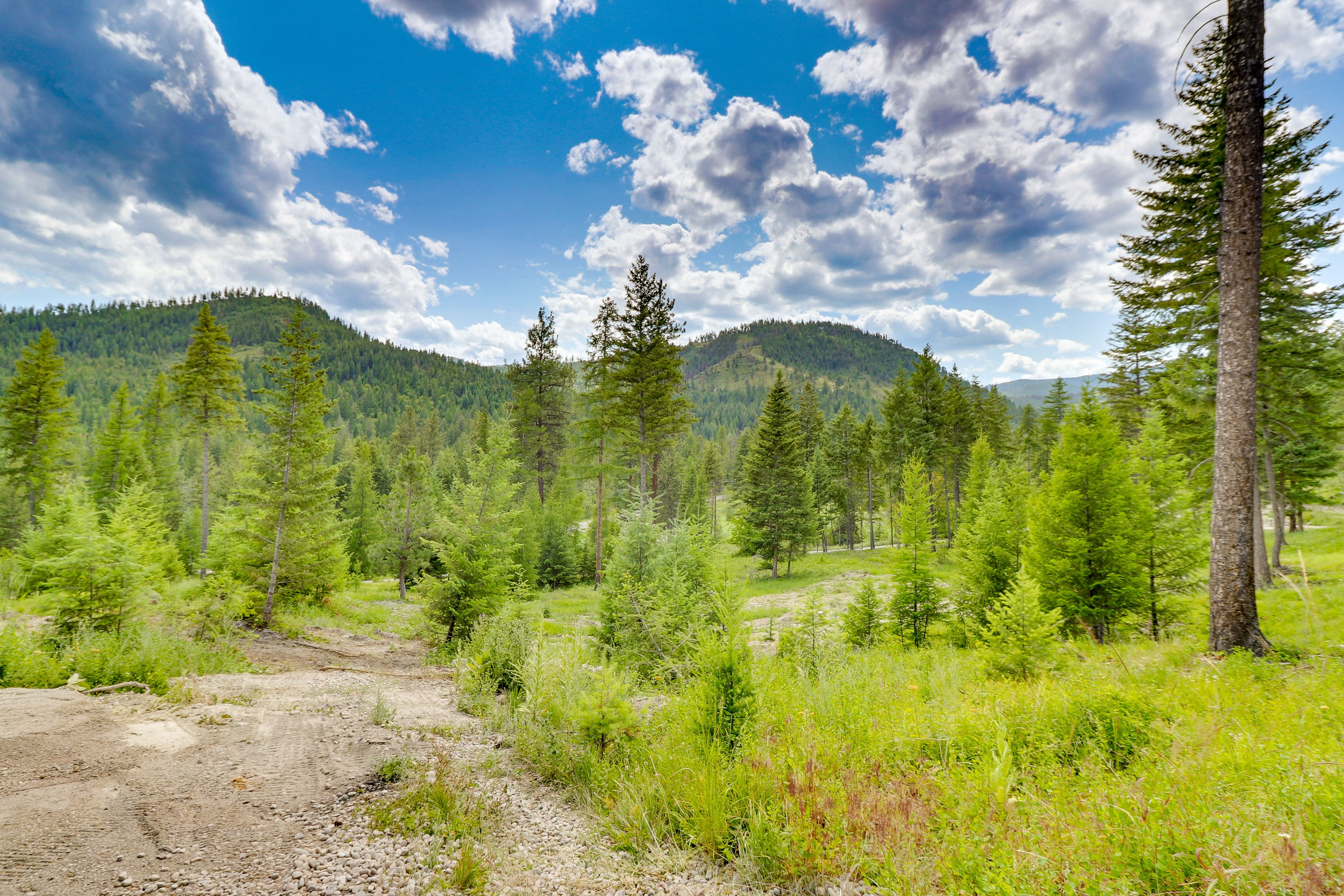 Property Surroundings