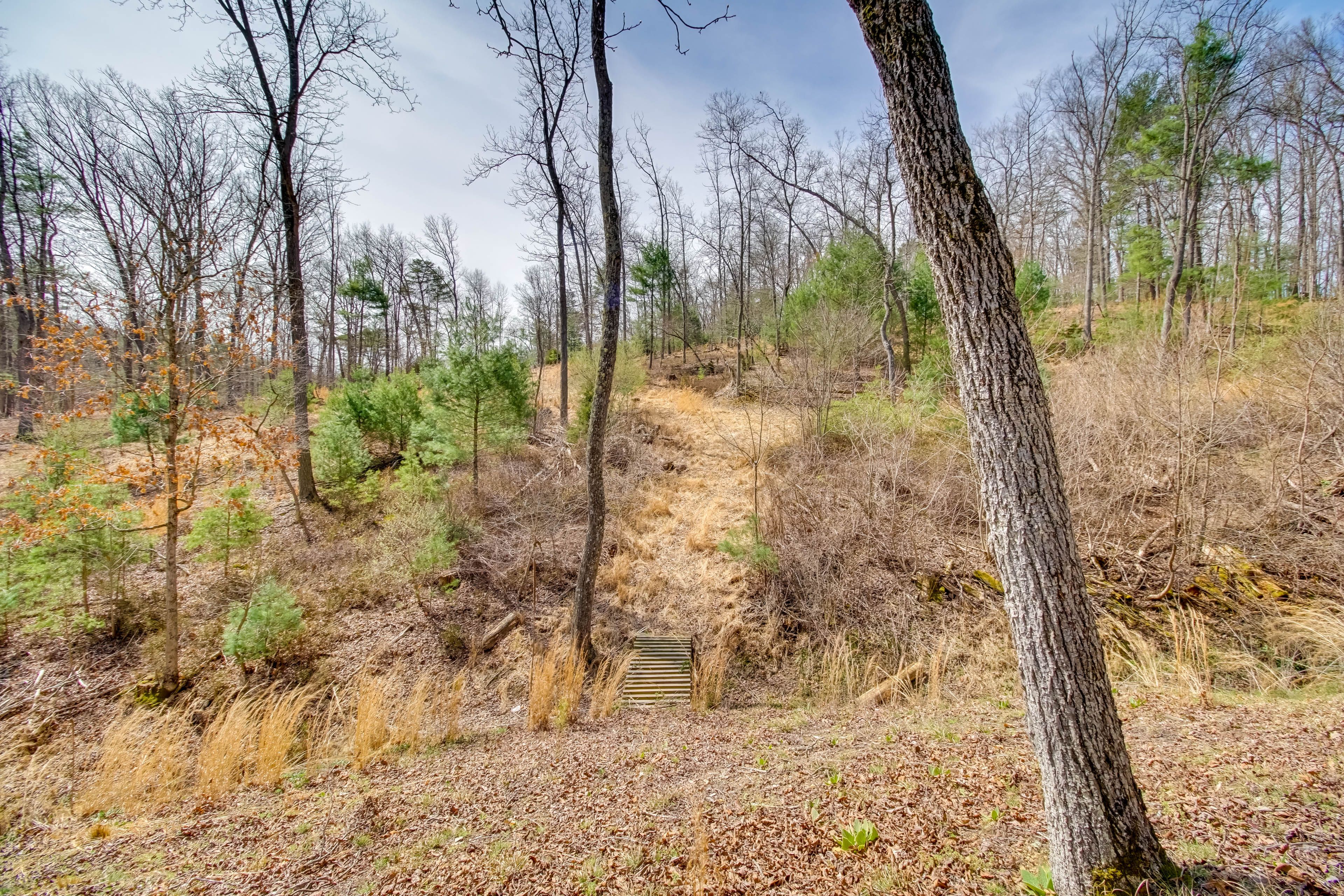 Hiking Area