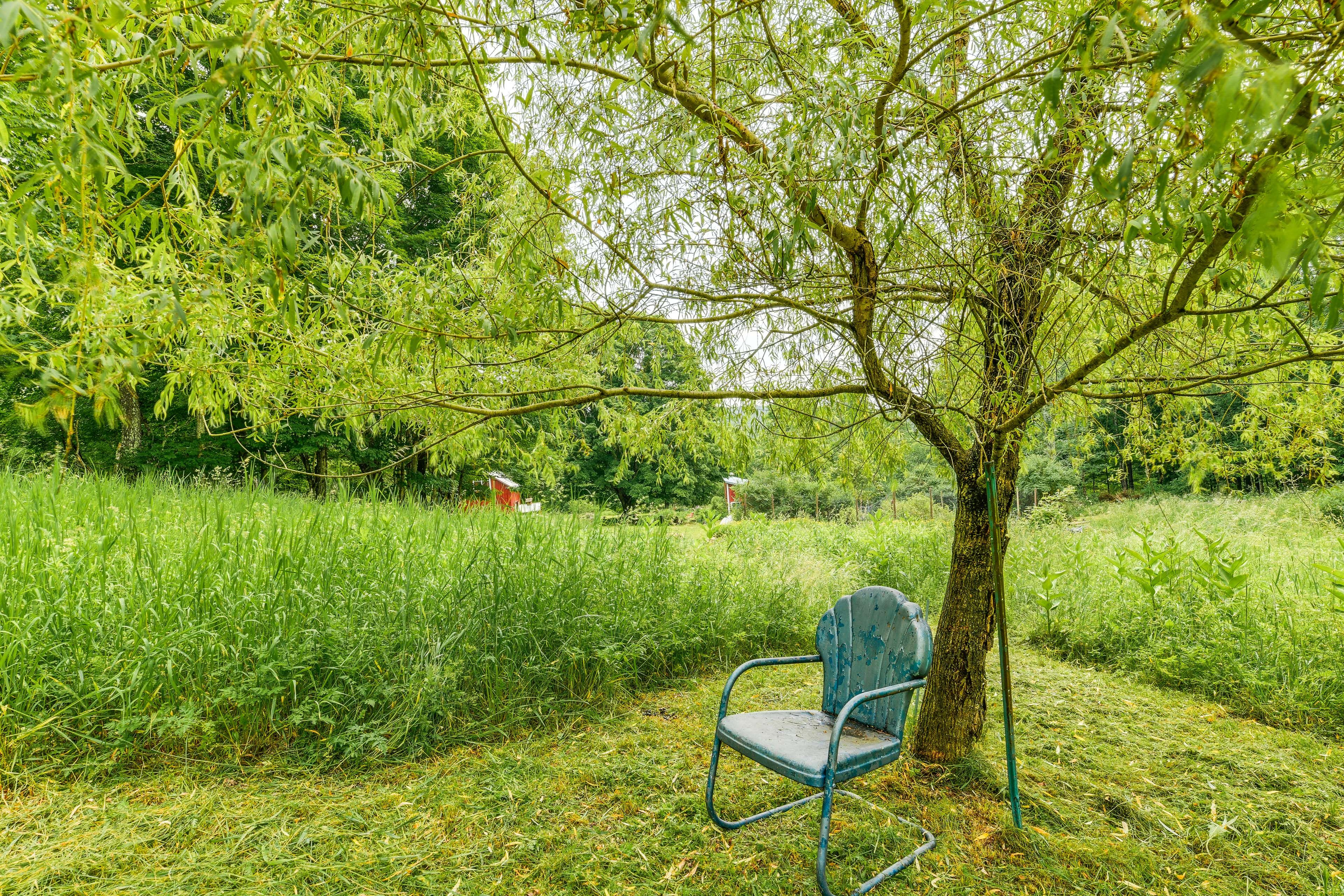 Shared Outdoor Area | Garden