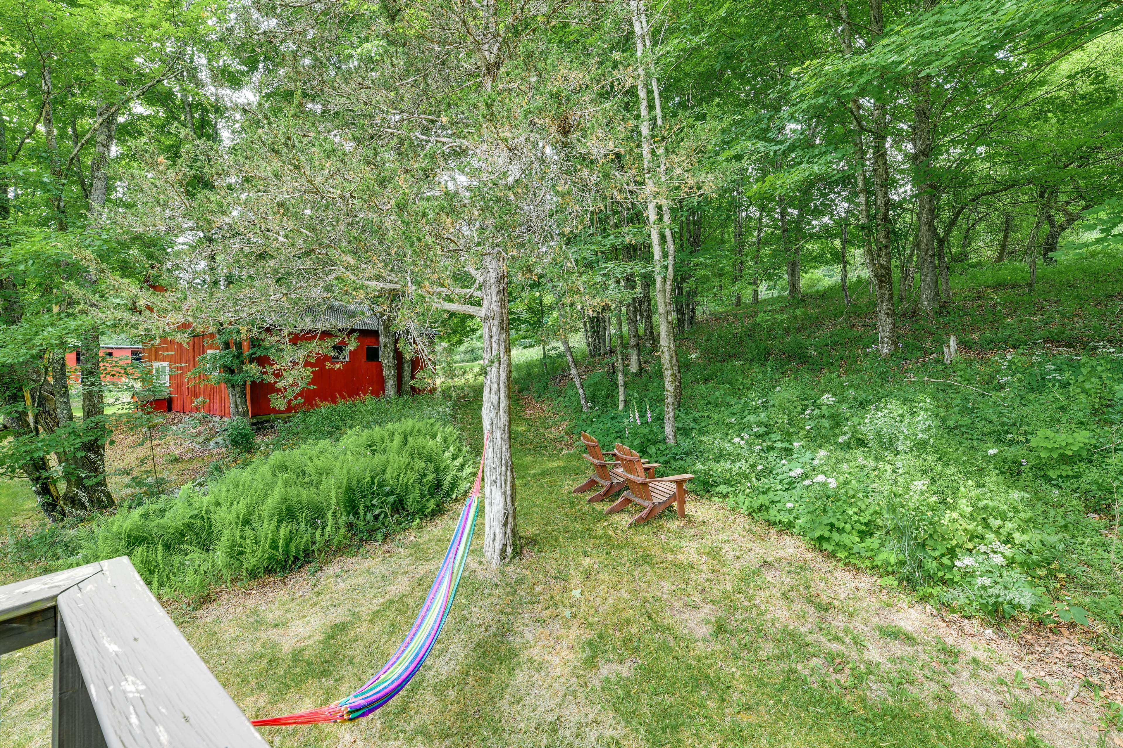 Image 29