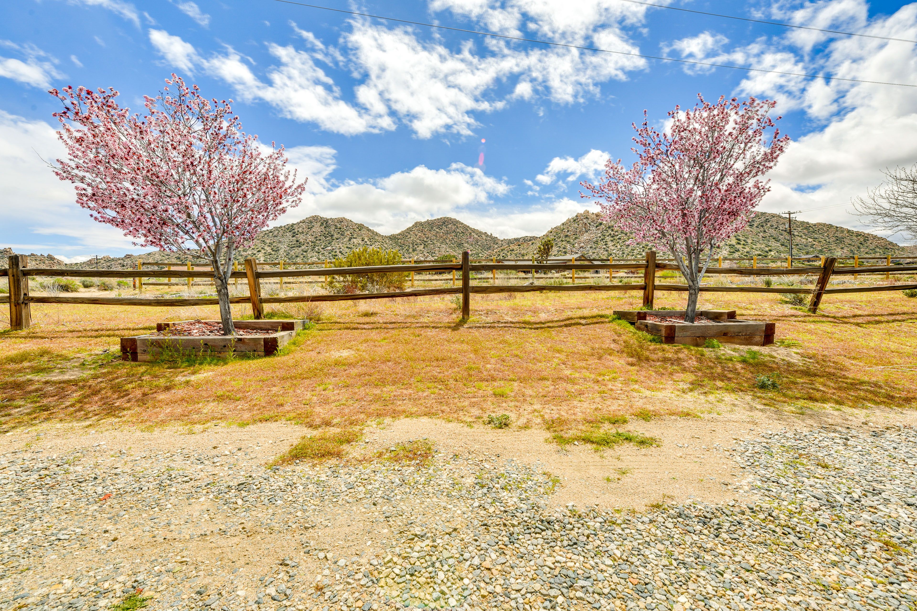 Landscape View