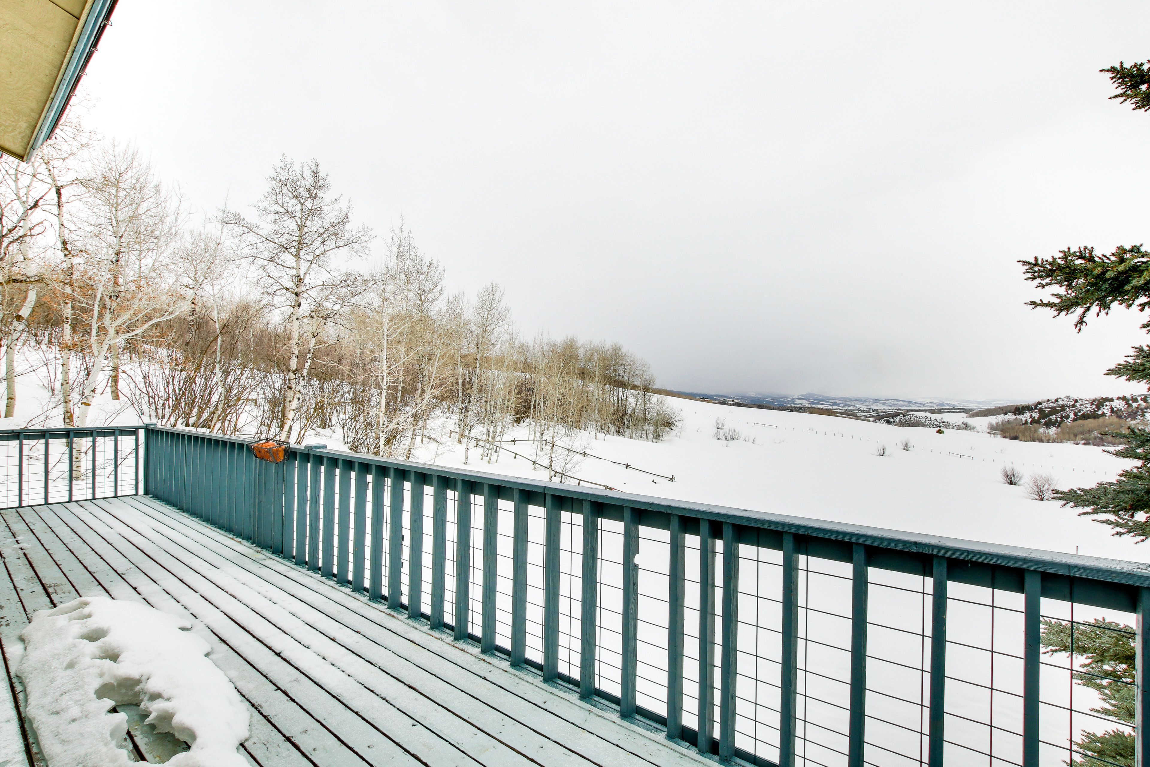 Private Yard | Deck