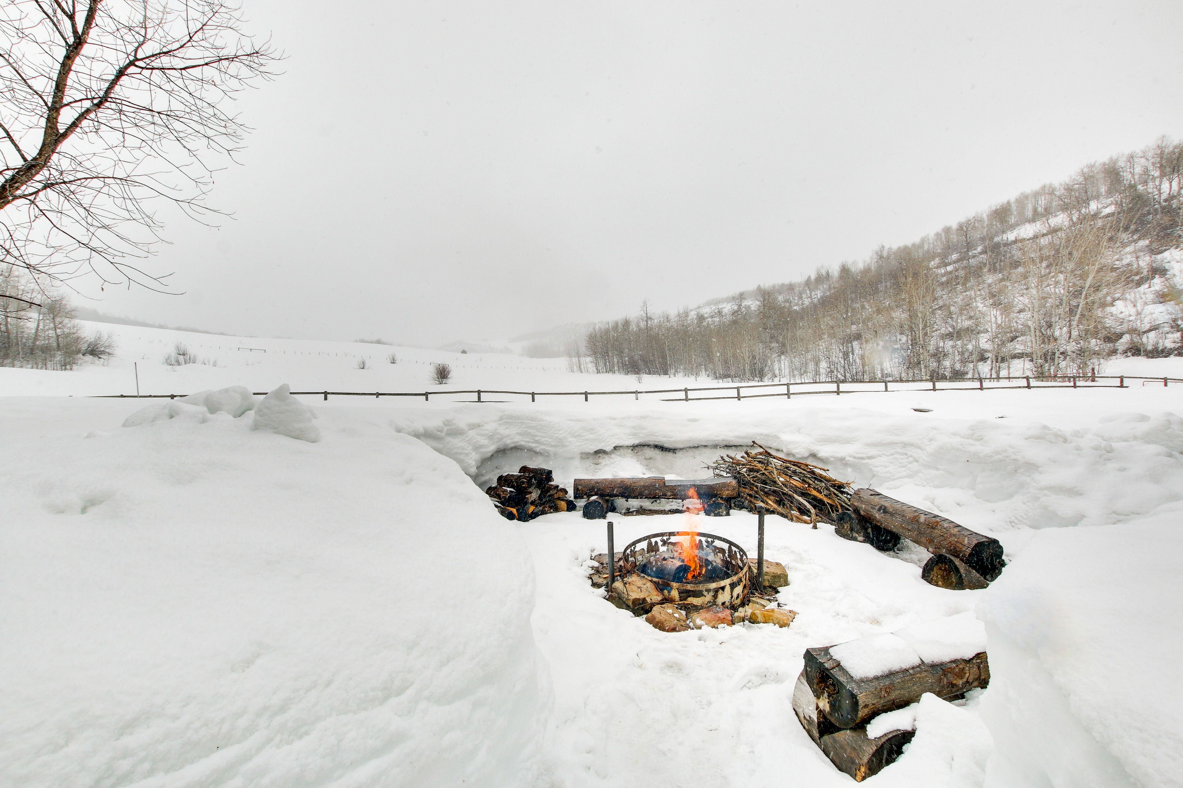 Surrounding Area | Fire Pit