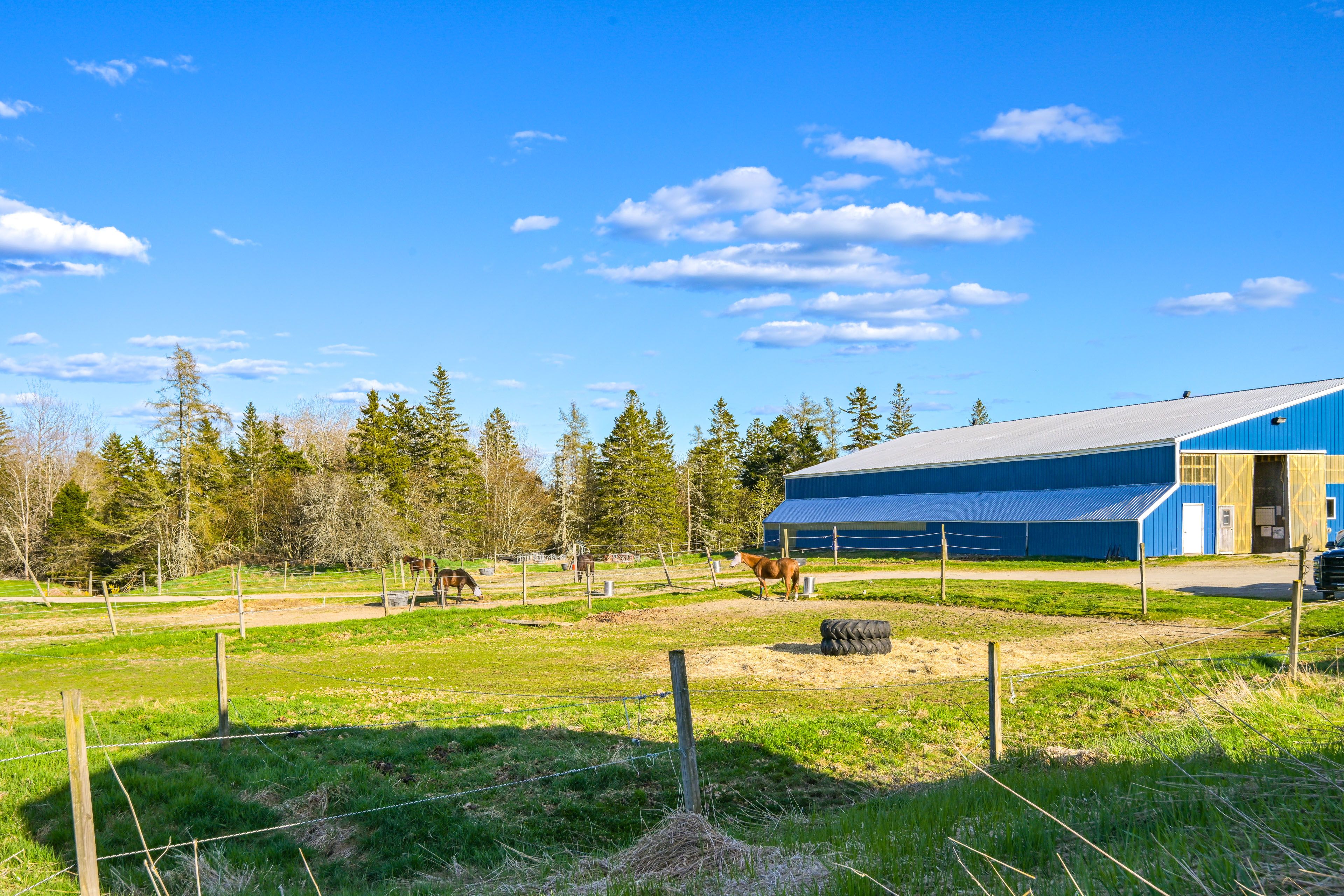 Historic Horse Farm On-Site
