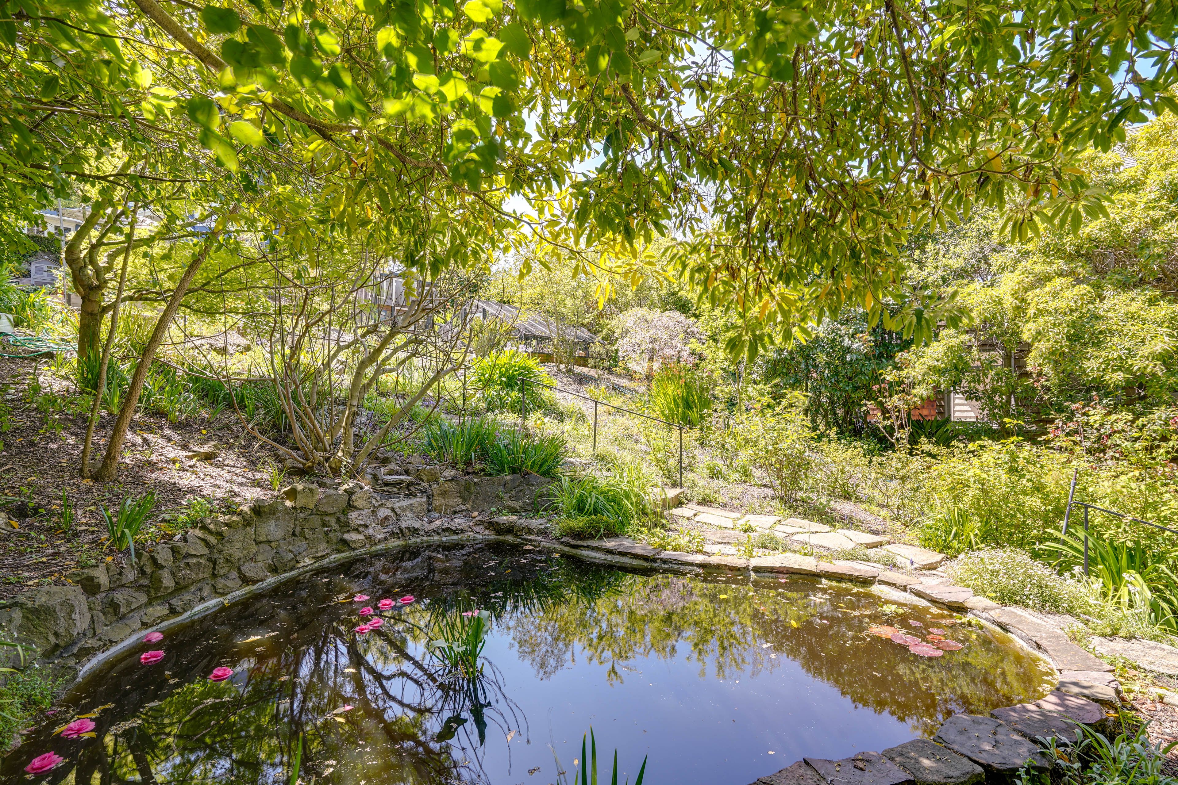 Pond