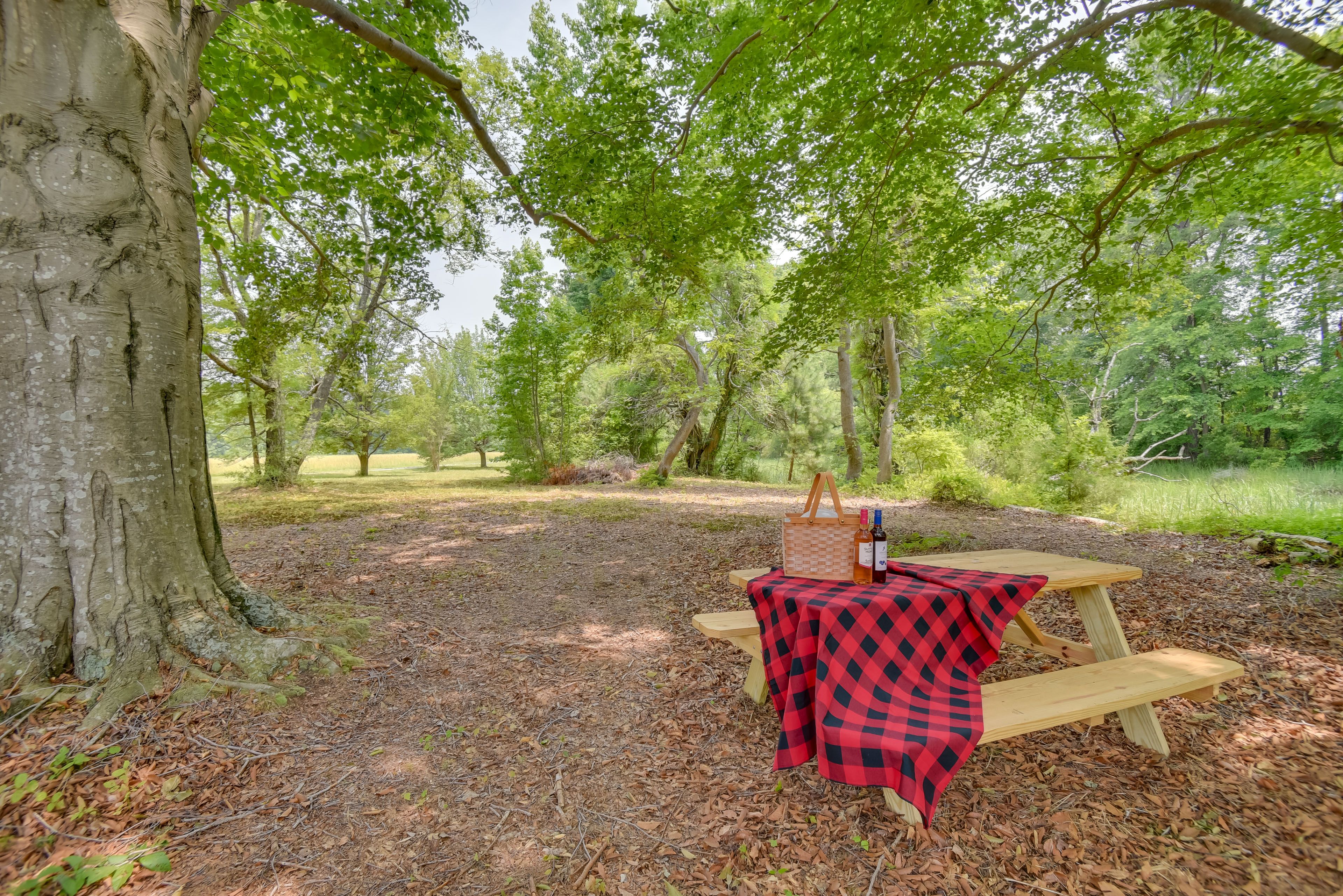 Picnic Table