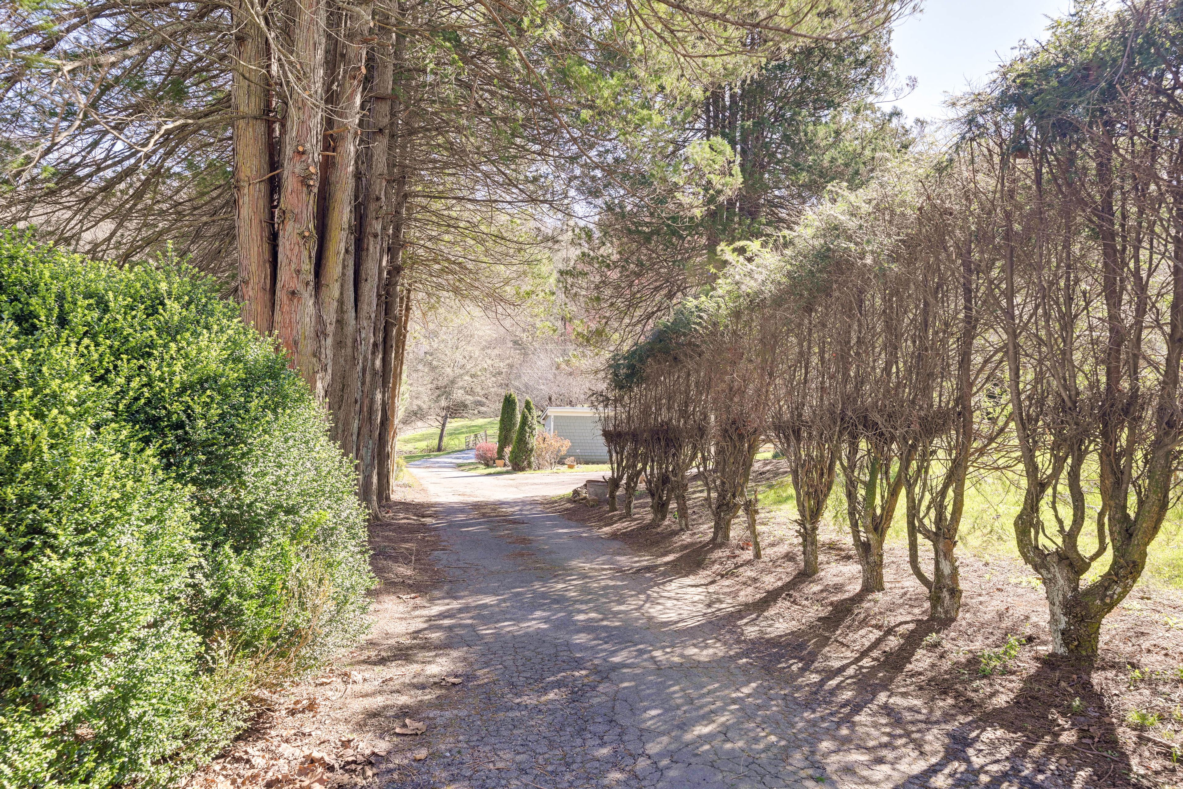 Driveway