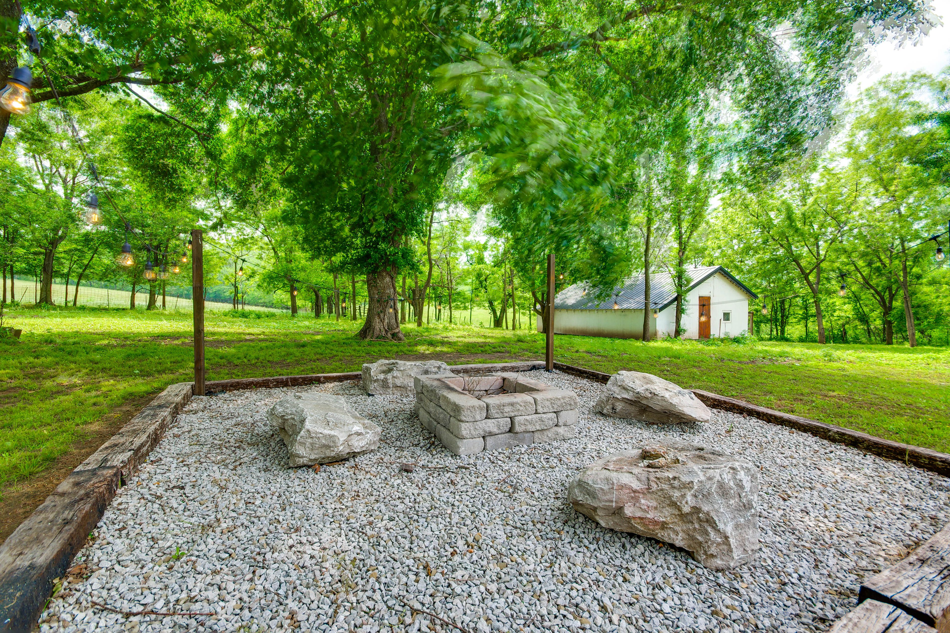 Image 31