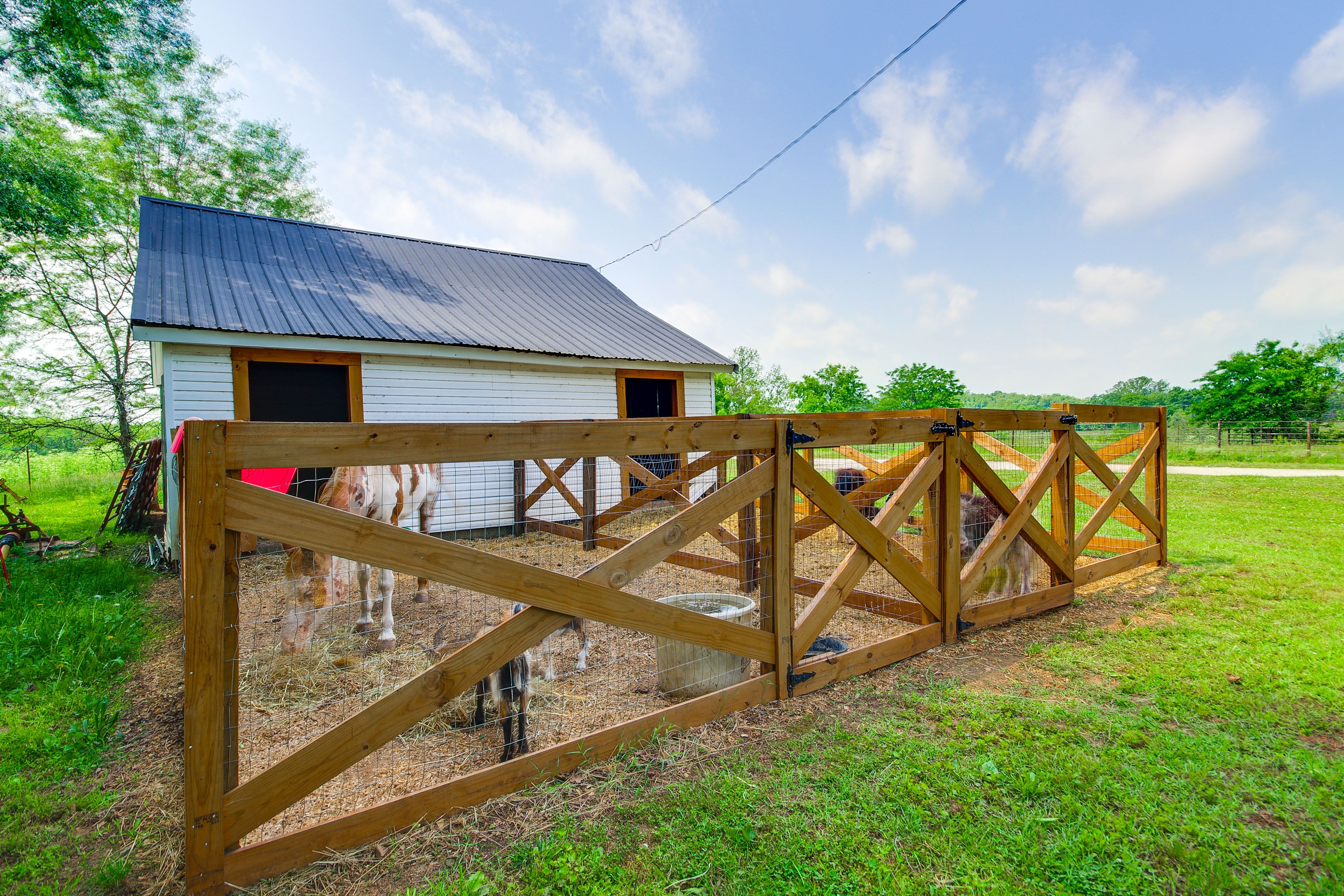 Farm Animals On-Site