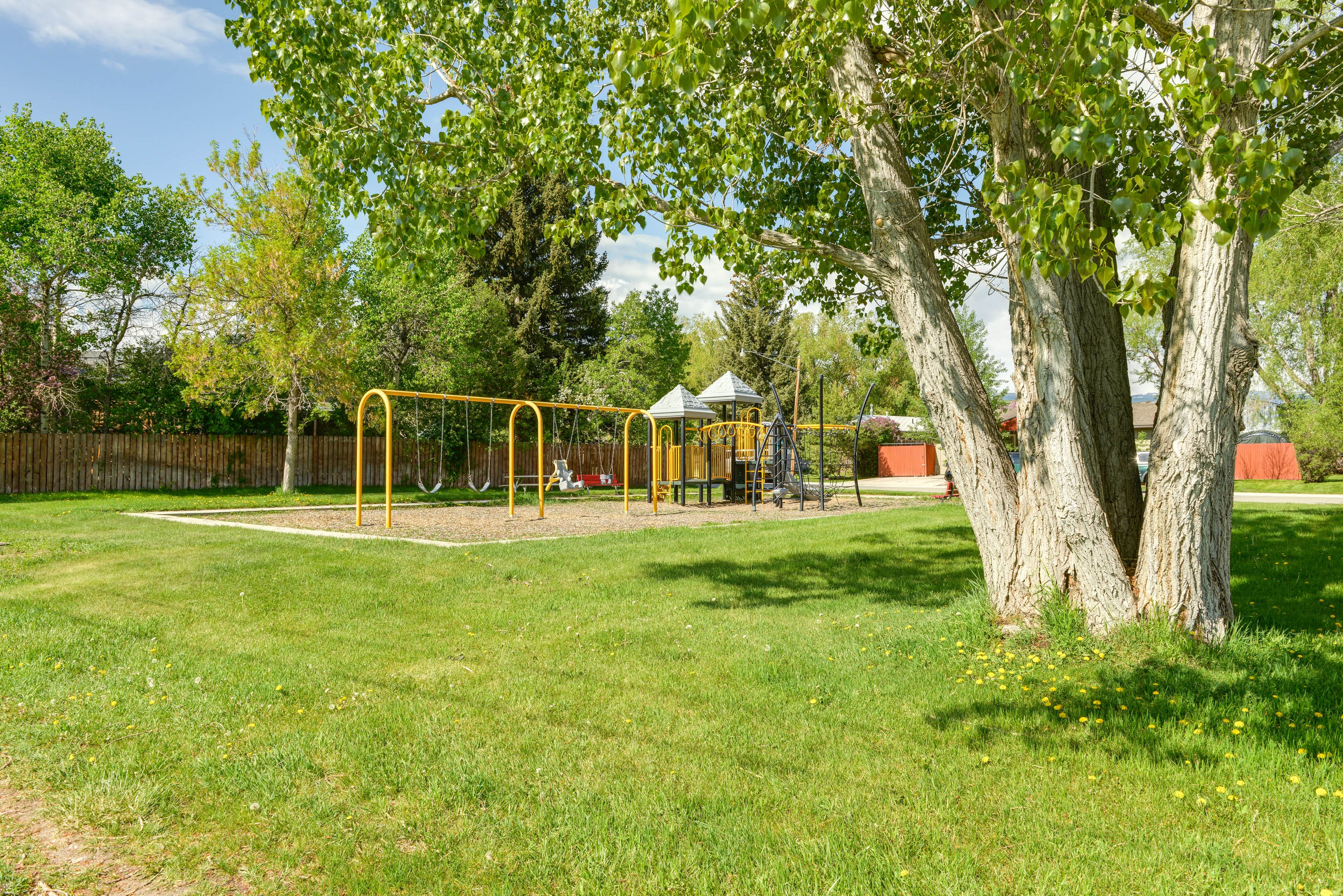 Community Park w/ Playground