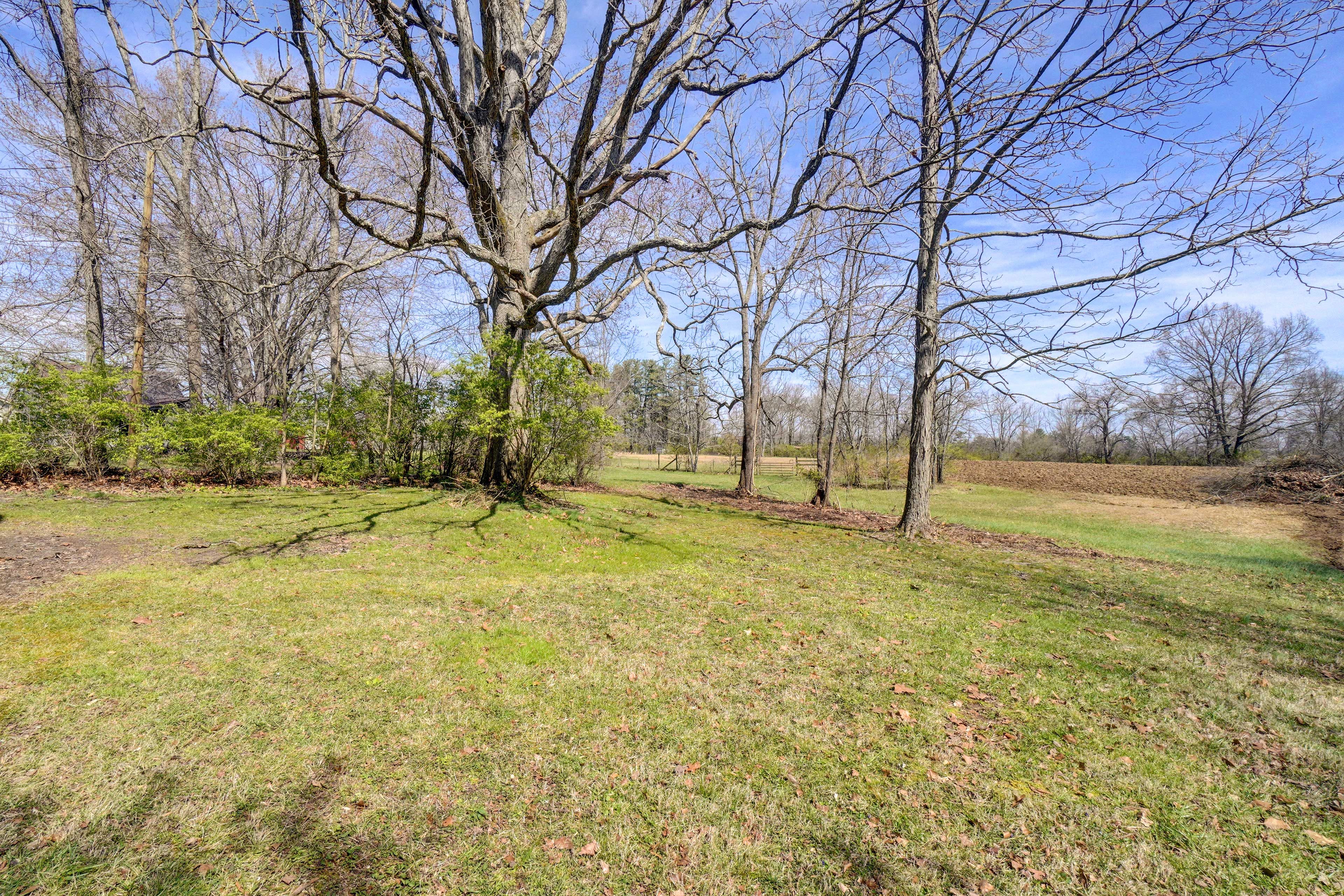 Surrounding Area